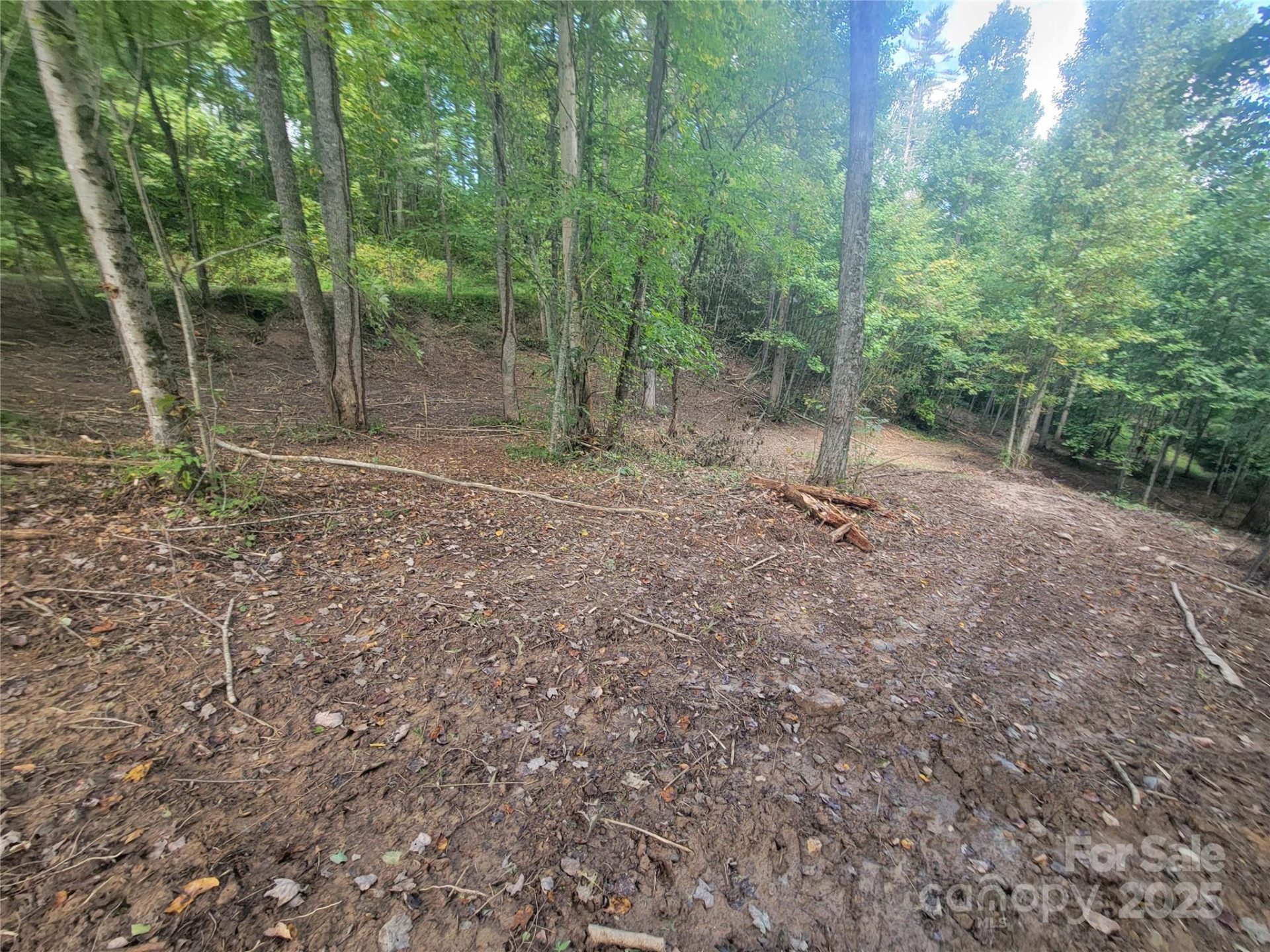 00 Bradford Park #10 - Photo 8