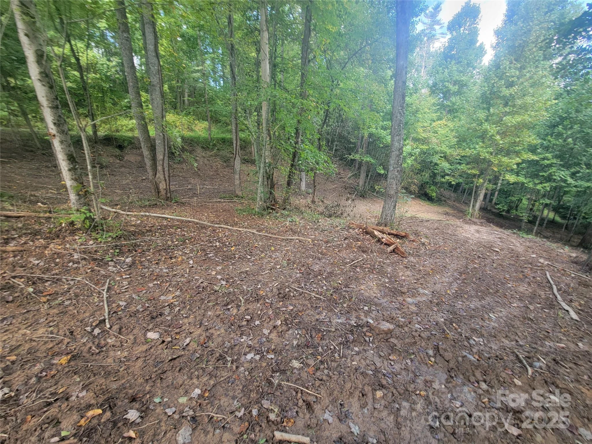 00 Bradford Park #10 - Photo 8