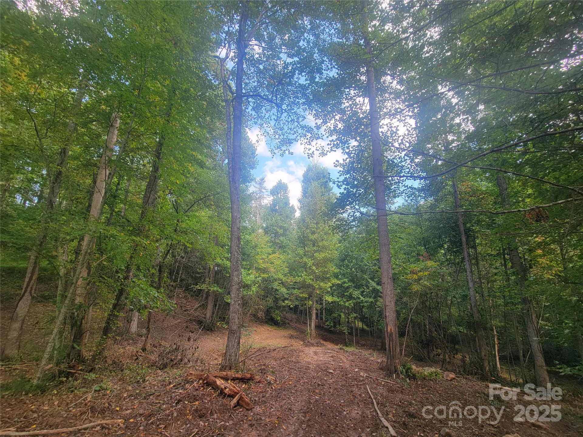 00 Bradford Park #10 - Photo 9