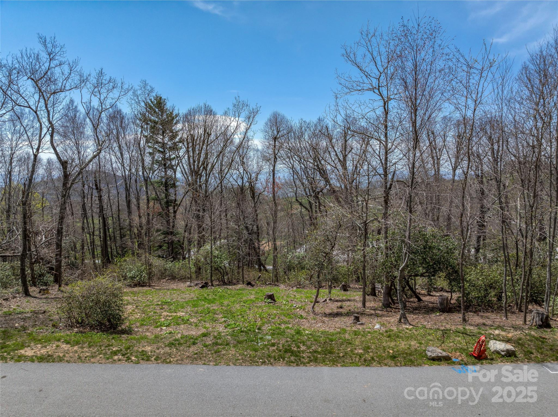 62 Autumn Ridge Lane #65 - Photo 4