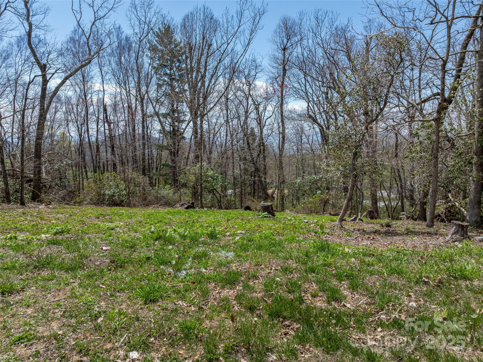 62 Autumn Ridge Lane #65 - Photo 10