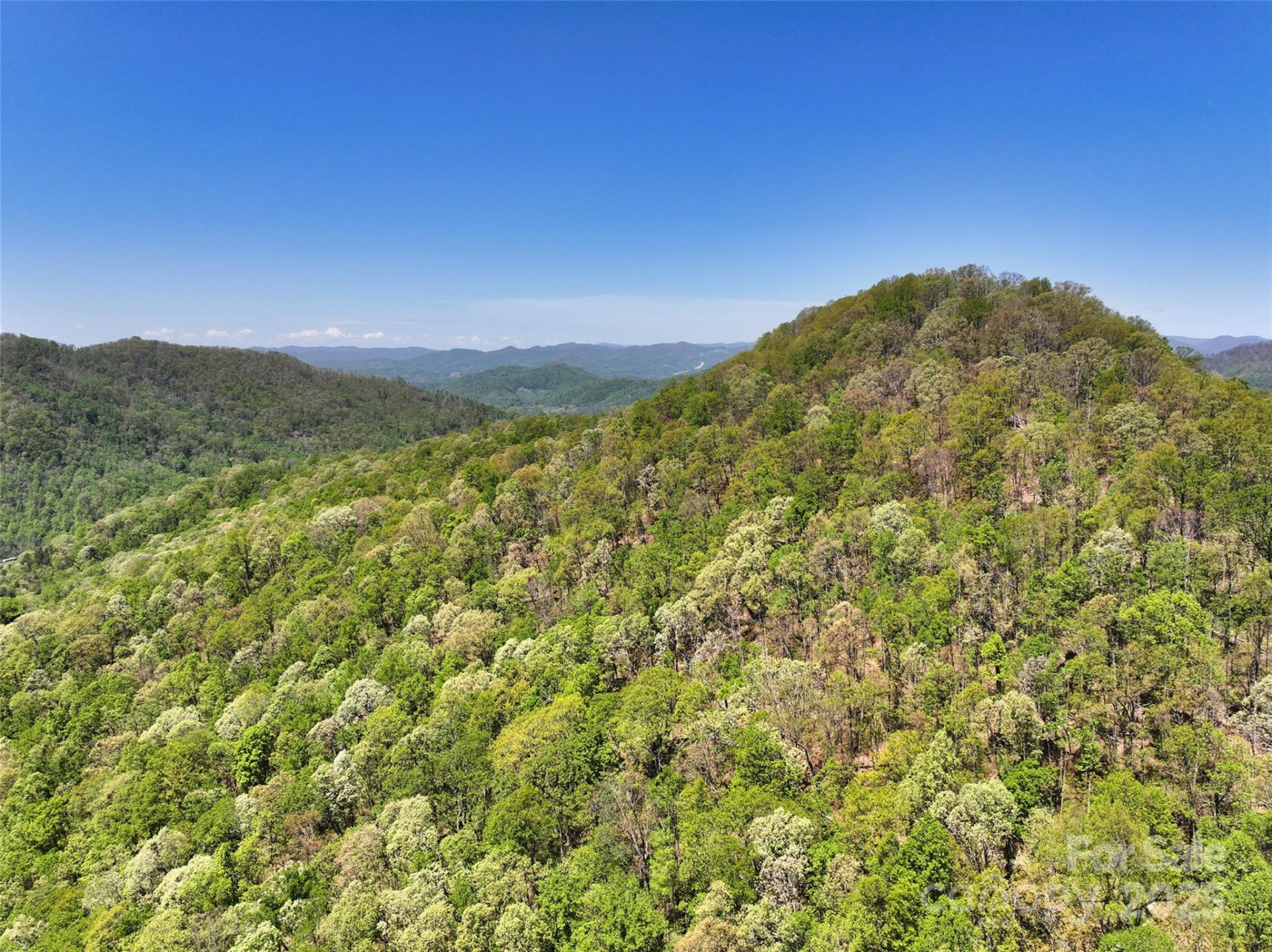 99999 Anderson Cove Road - Photo 2