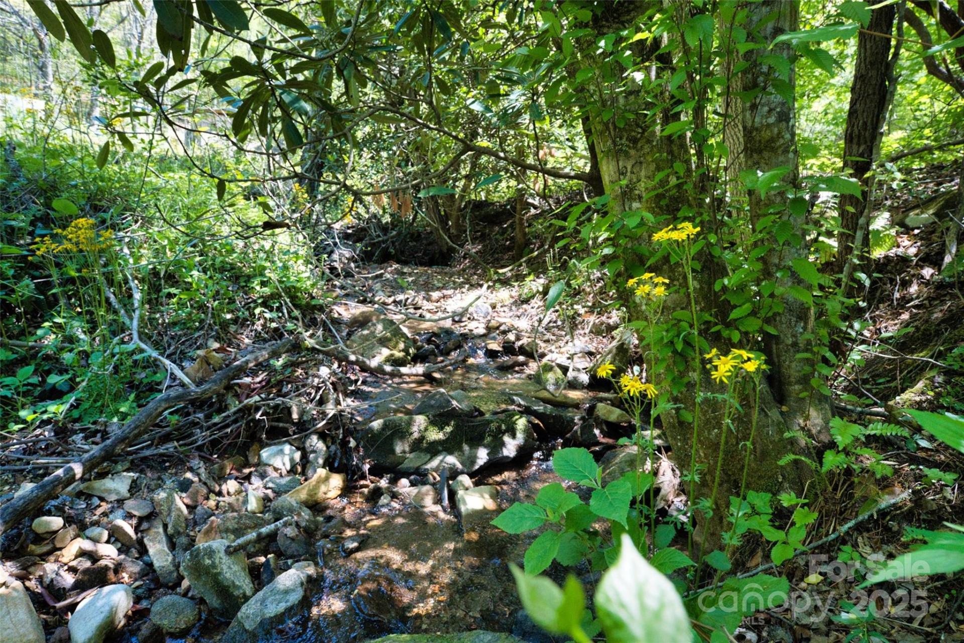 99999 Anderson Cove Road - Photo 13