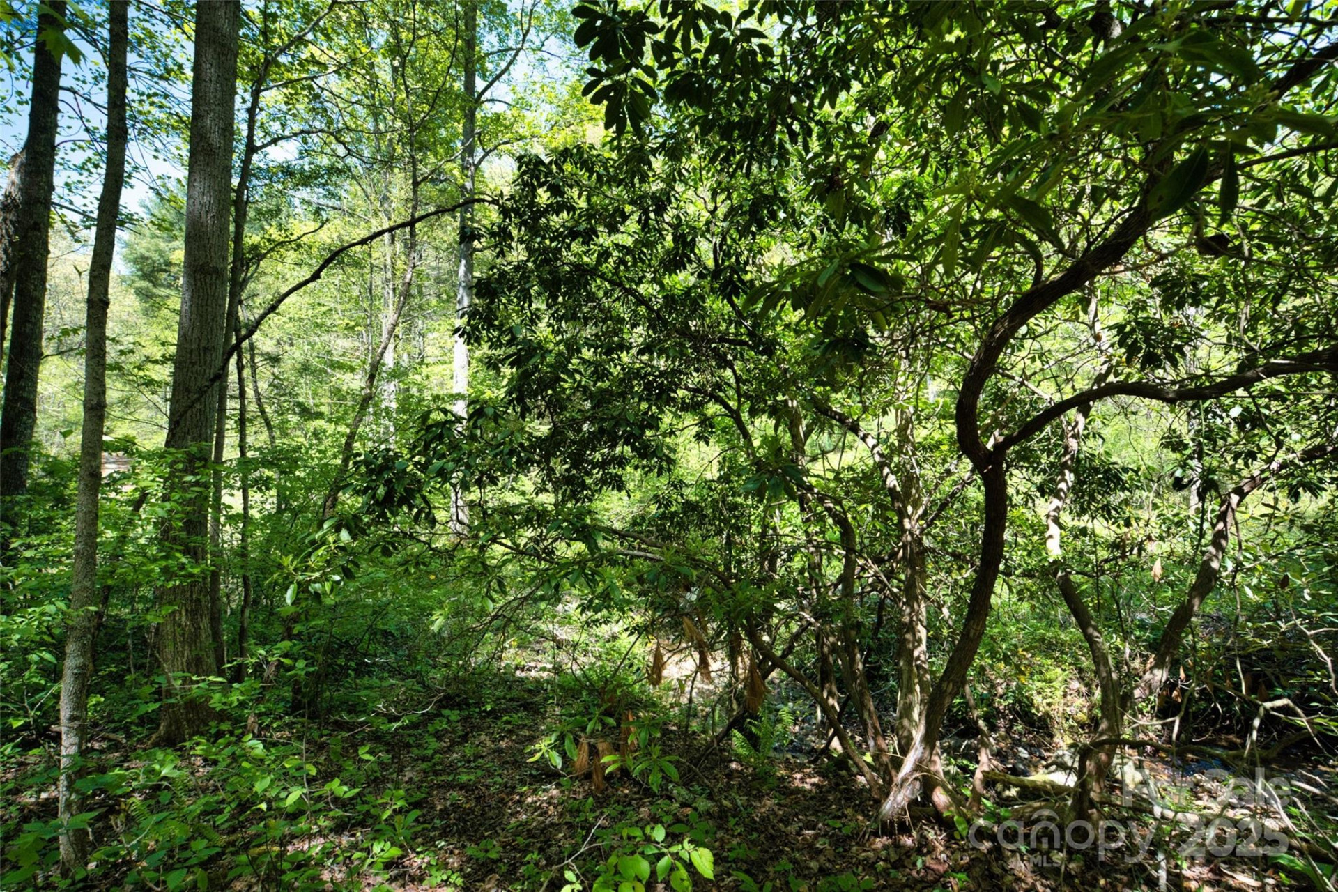 99999 Anderson Cove Road - Photo 15