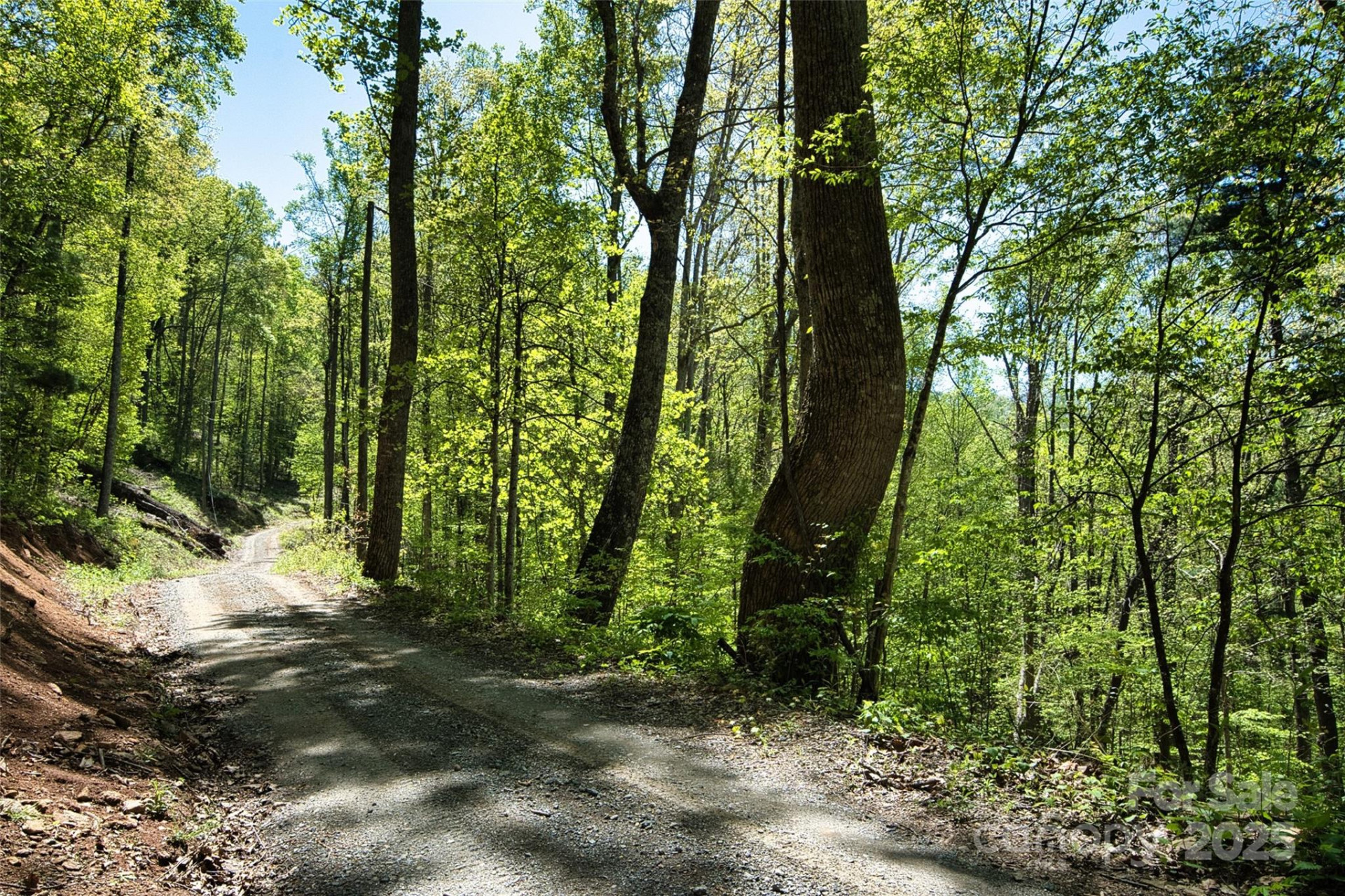 99999 Anderson Cove Road - Photo 16