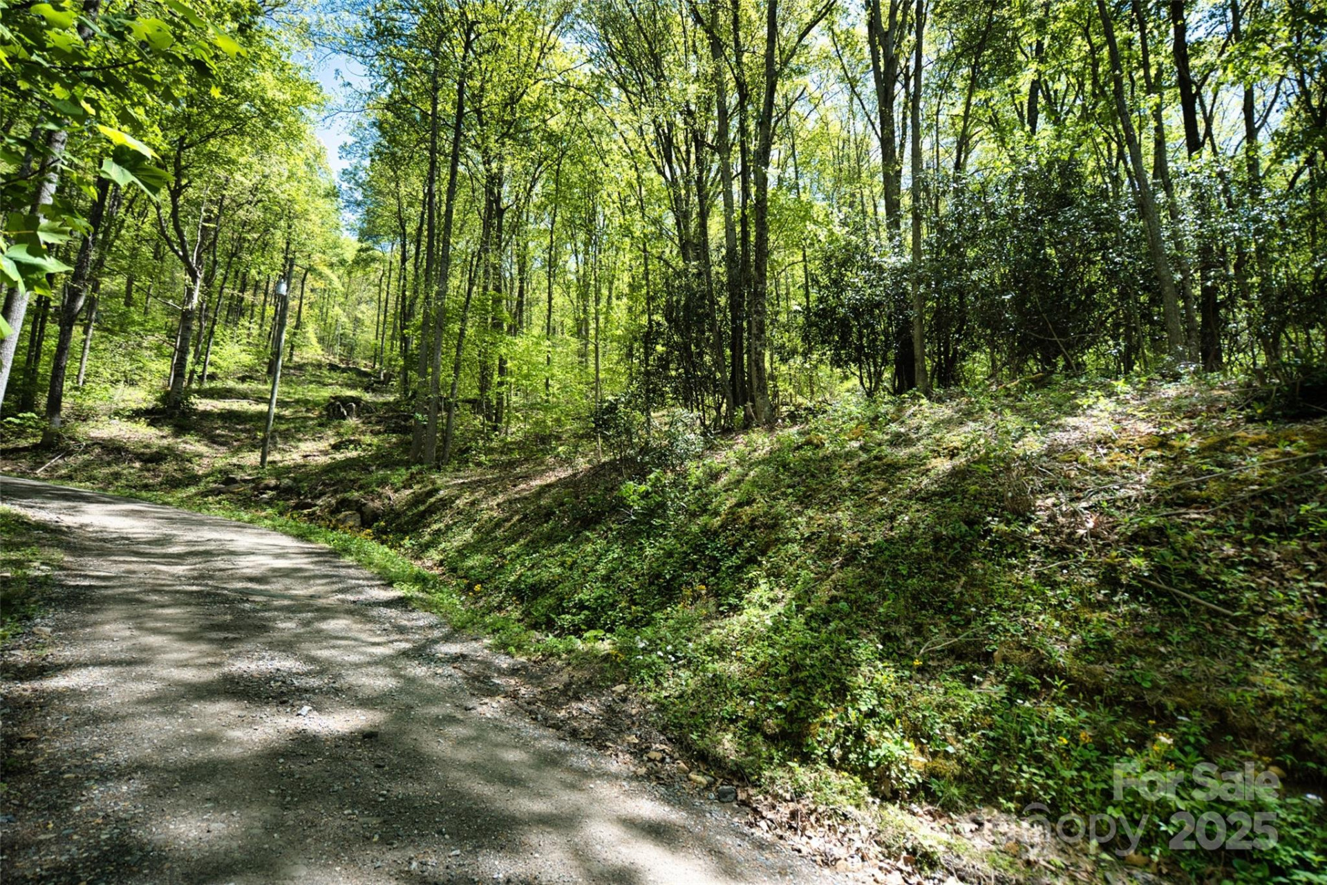 99999 Anderson Cove Road - Photo 17