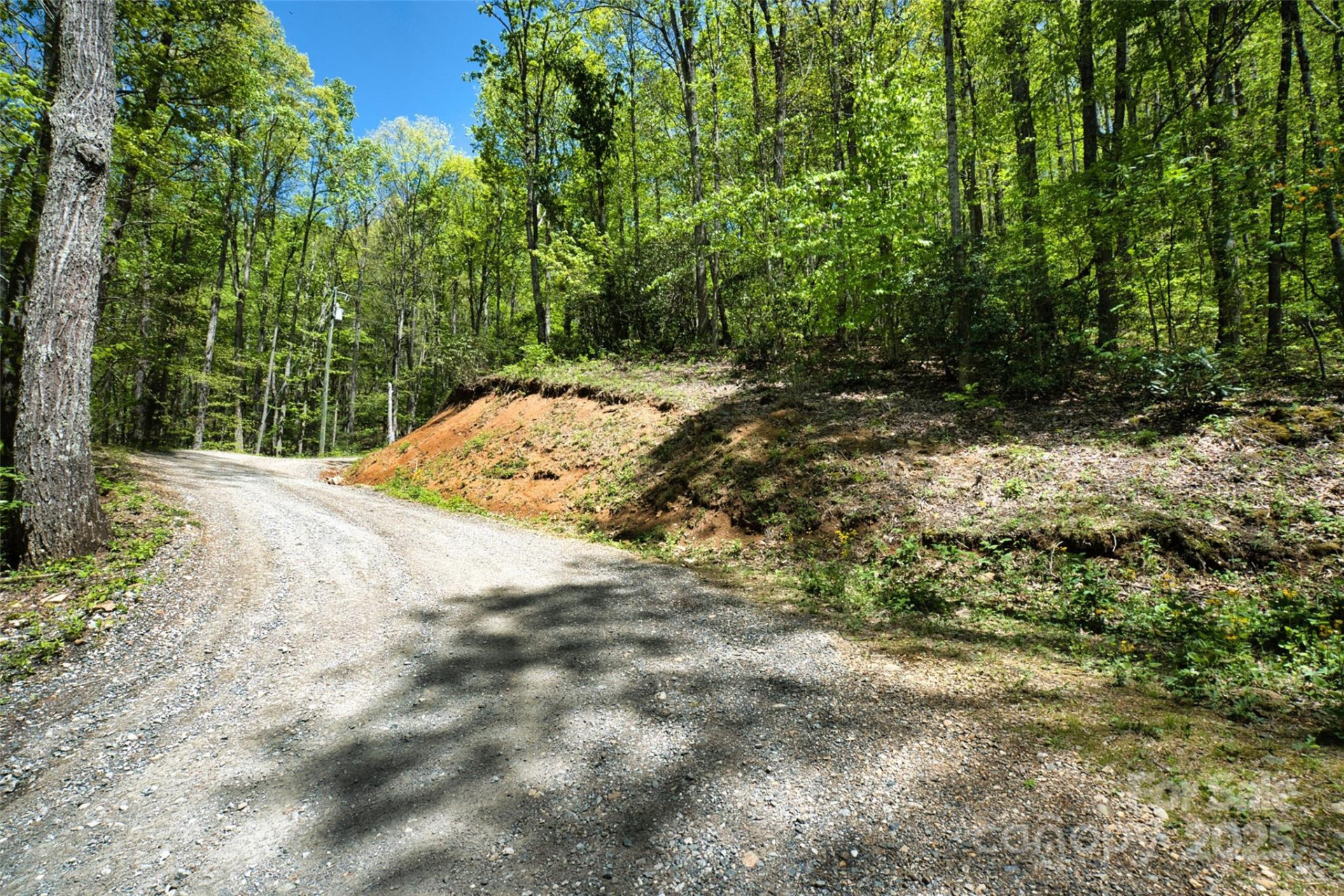 99999 Anderson Cove Road - Photo 18