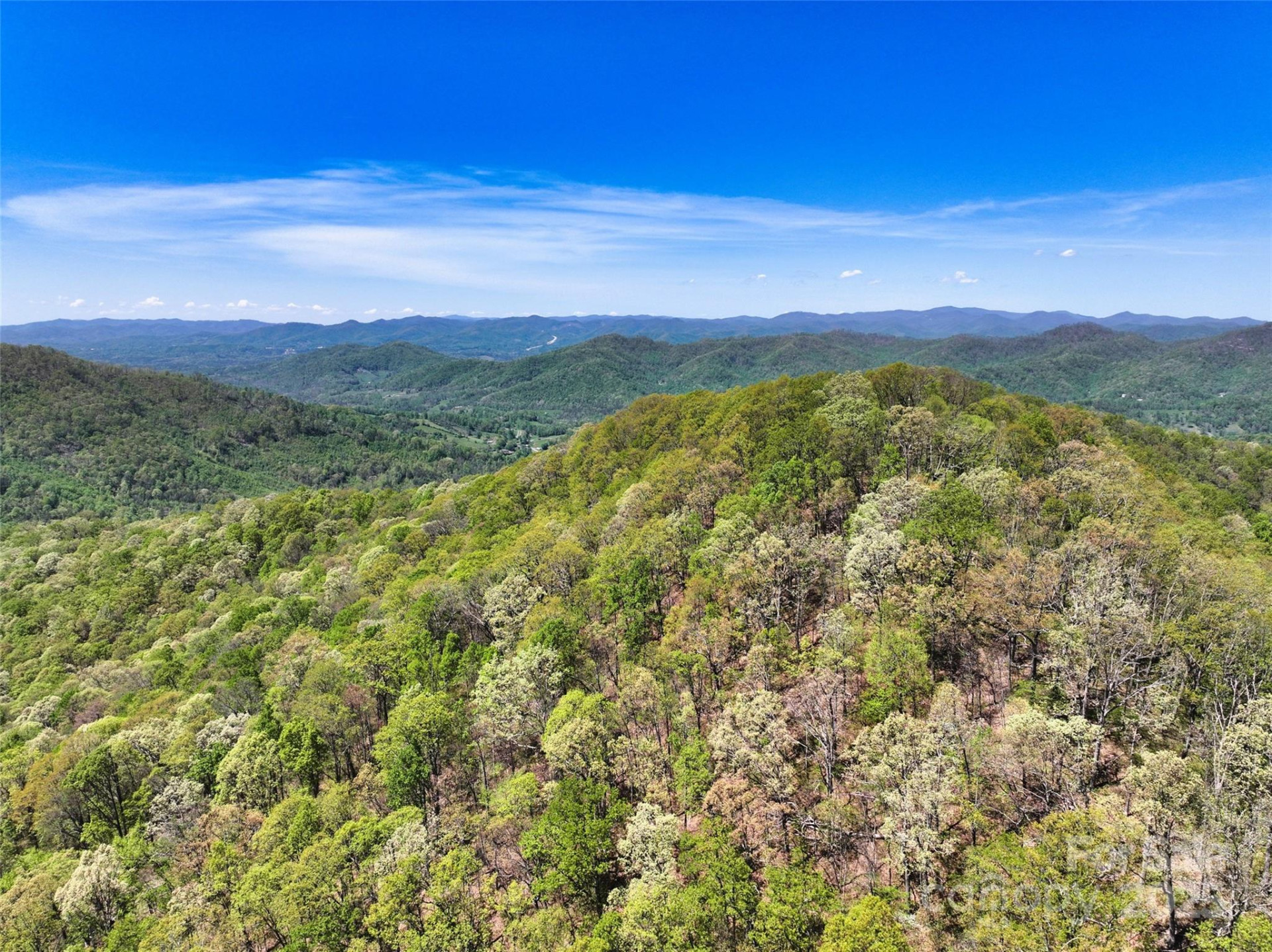 99999 Anderson Cove Road - Photo 3