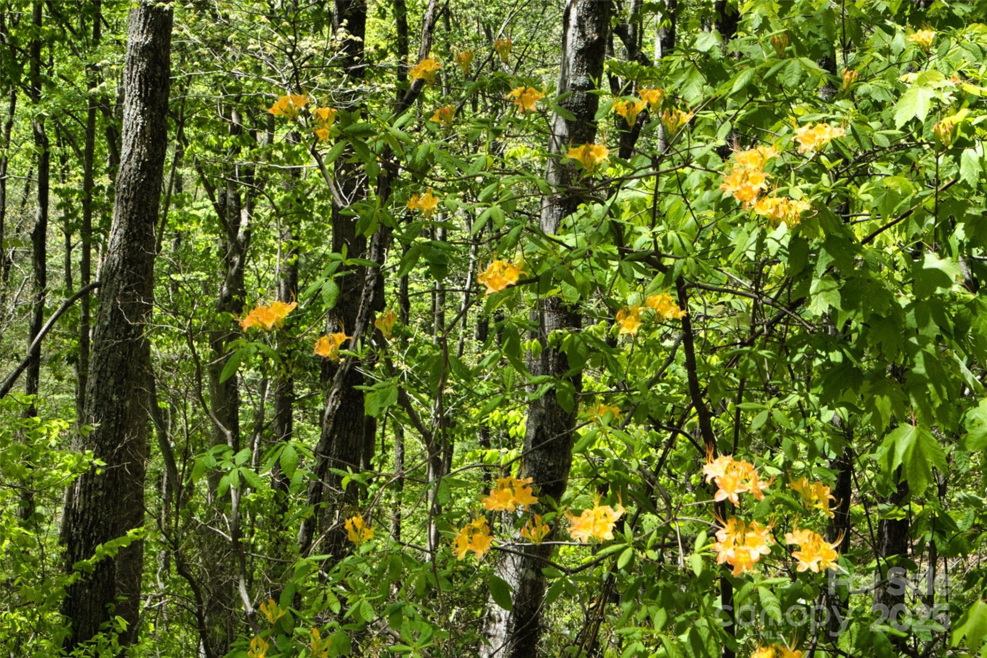 99999 Anderson Cove Road - Photo 21