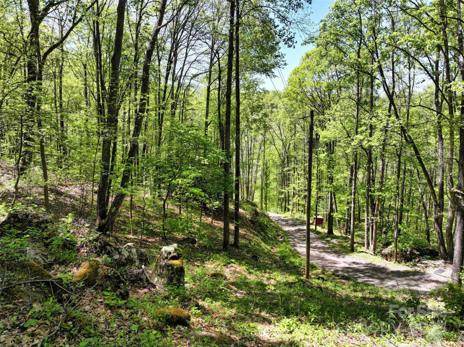 99999 Anderson Cove Road - Photo 26