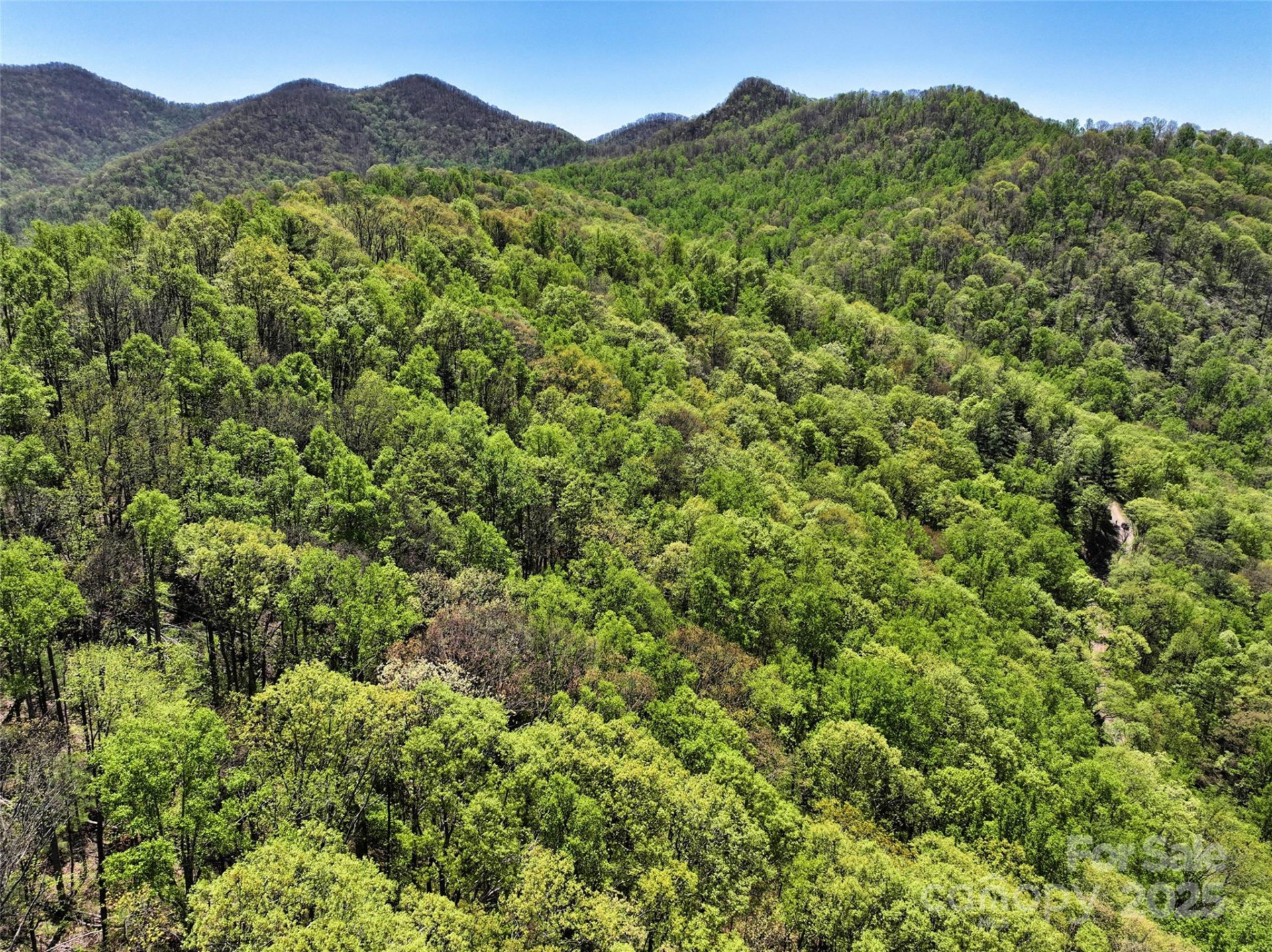 99999 Anderson Cove Road - Photo 34