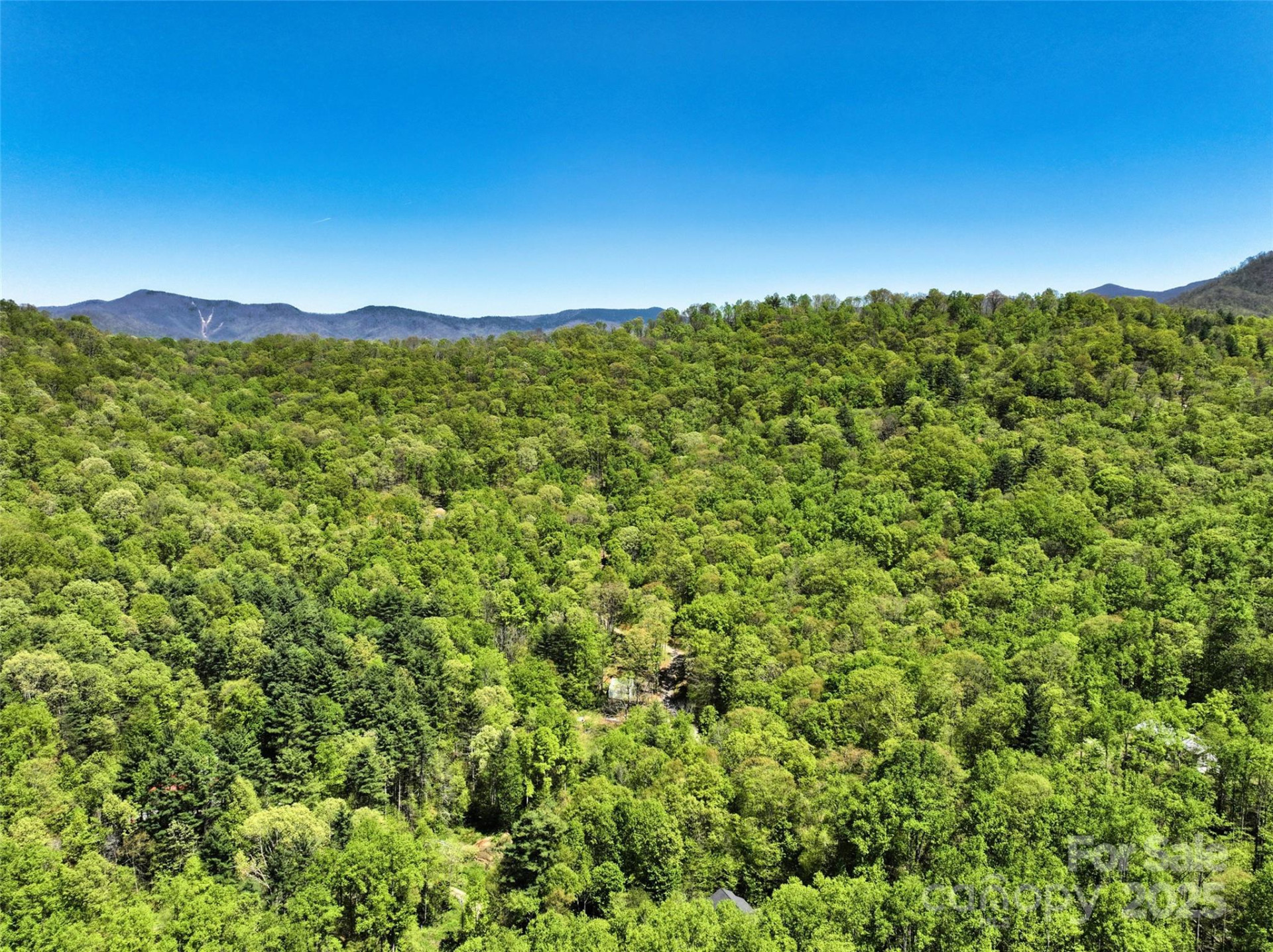 99999 Anderson Cove Road - Photo 36