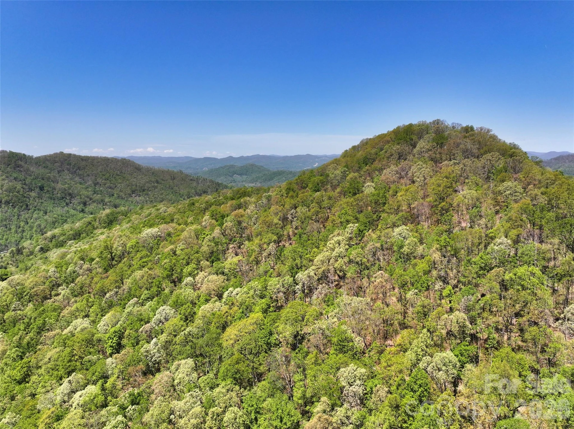 99999 Anderson Cove Road - Photo 3