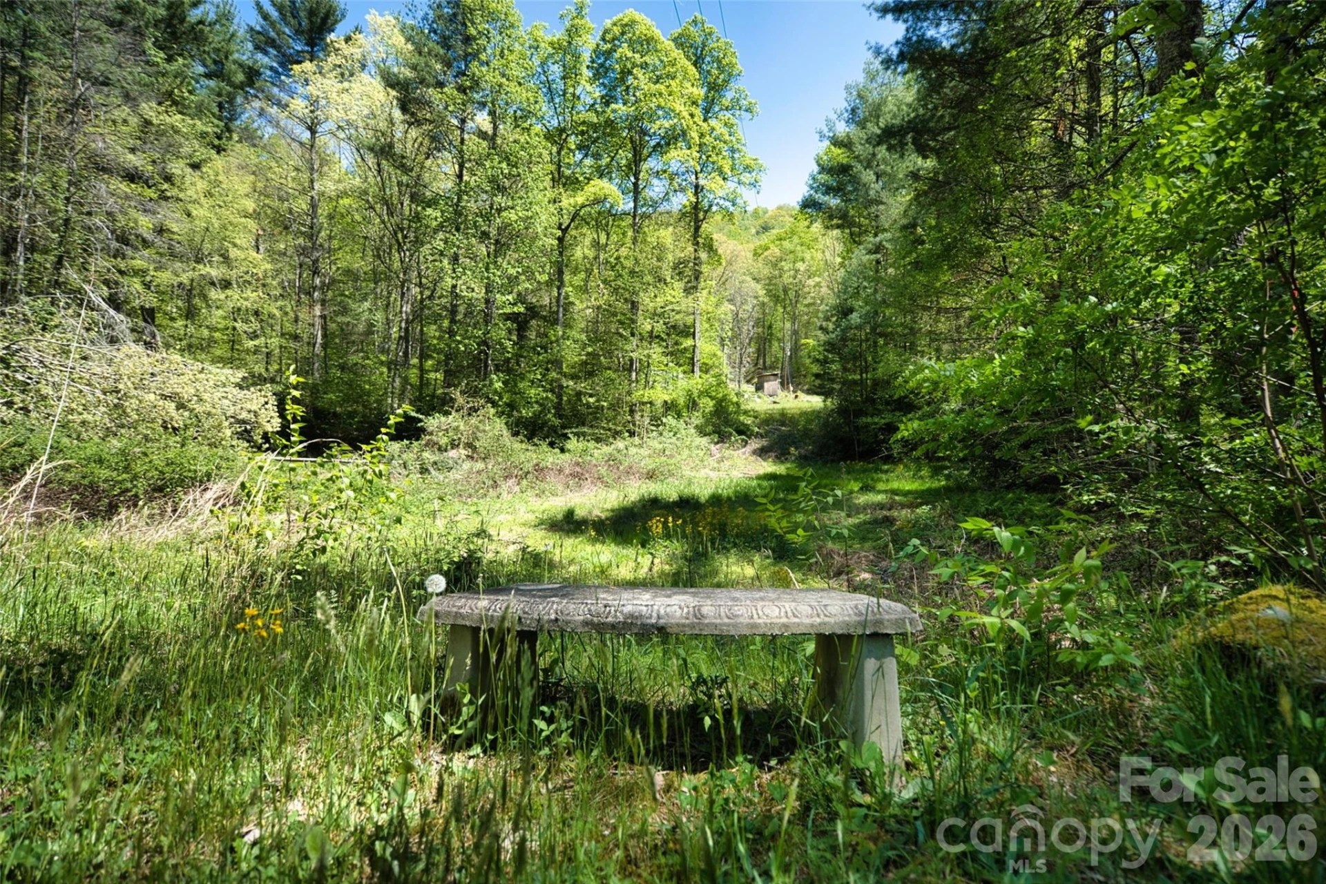 99999 Anderson Cove Road - Photo 4