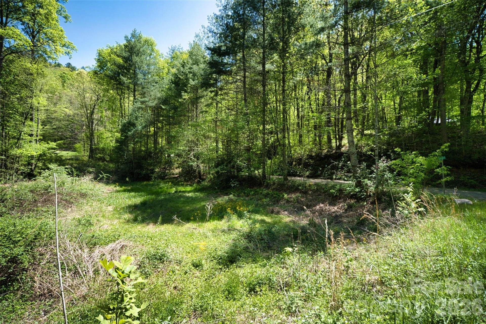 99999 Anderson Cove Road - Photo 6