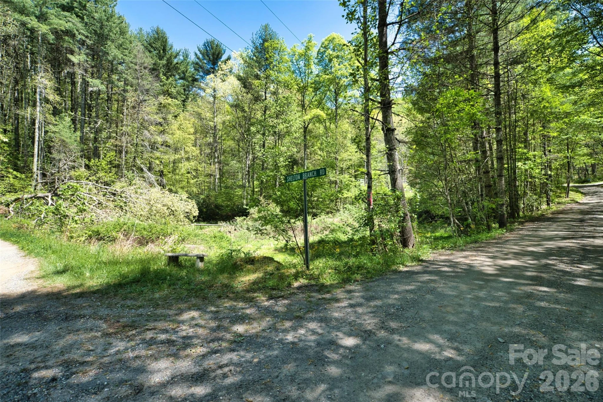 99999 Anderson Cove Road - Photo 8