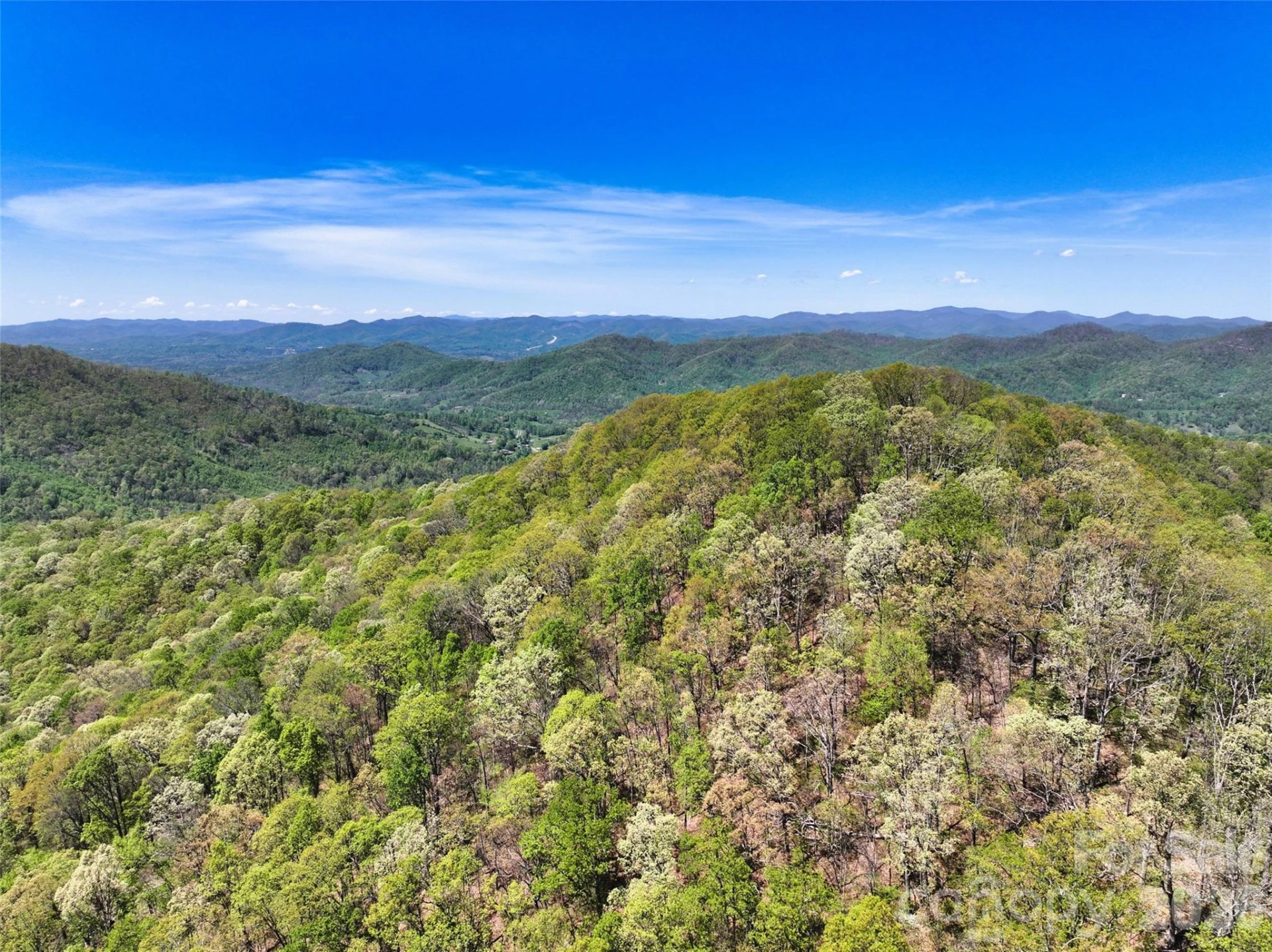 99999 Anderson Cove Road - Photo 12