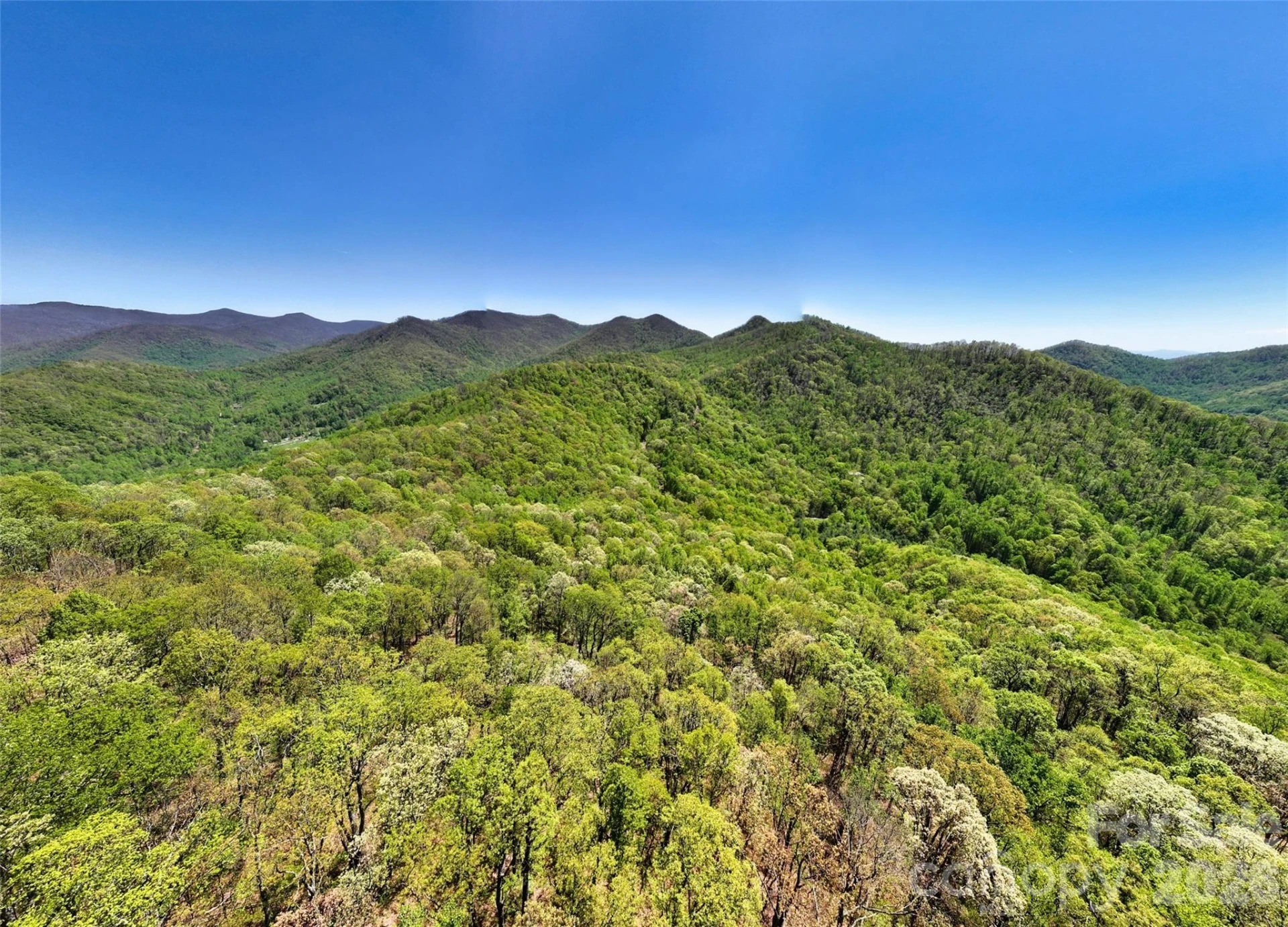 99999 Anderson Cove Road - Photo 15