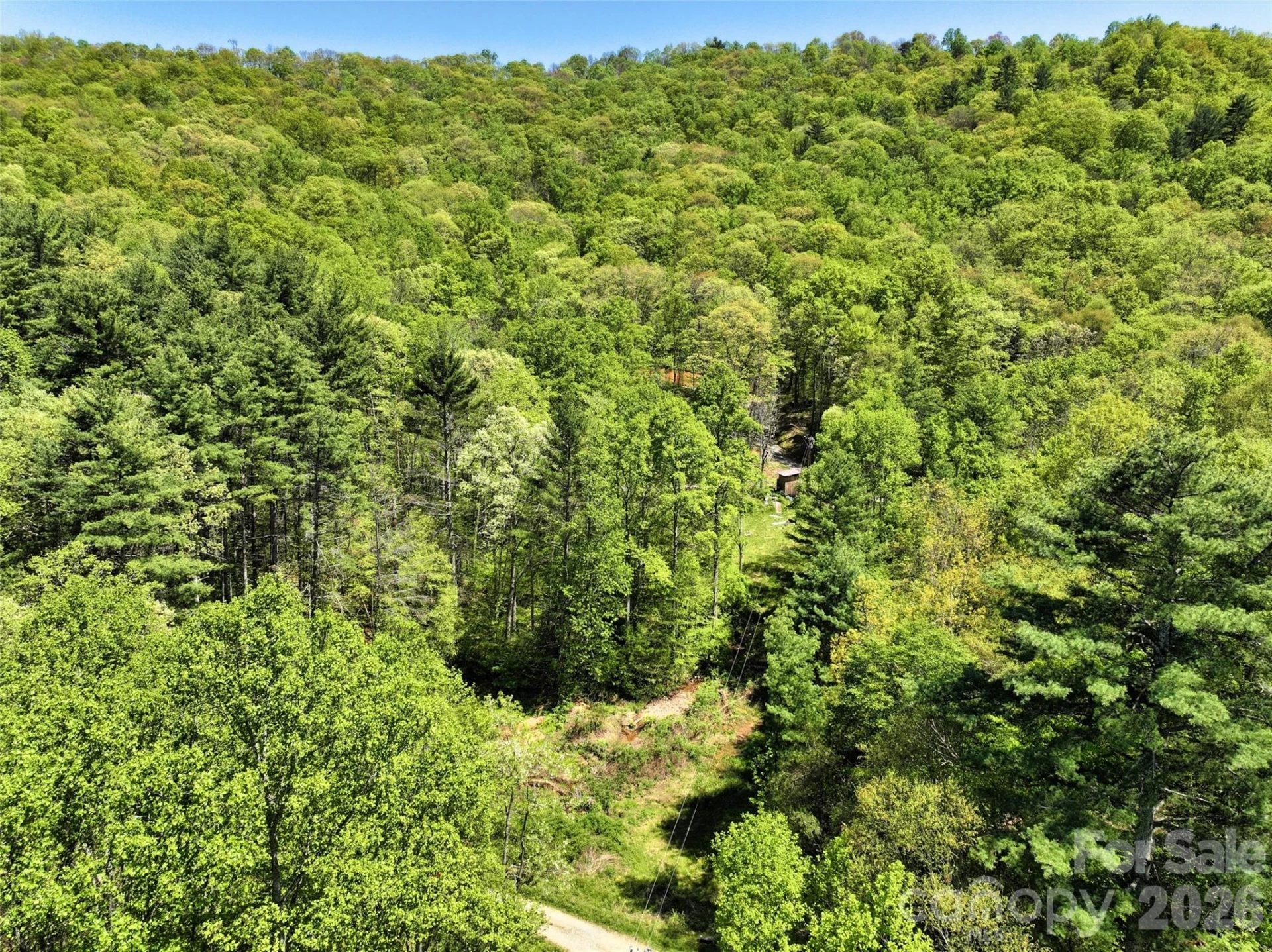 99999 Anderson Cove Road - Photo 16