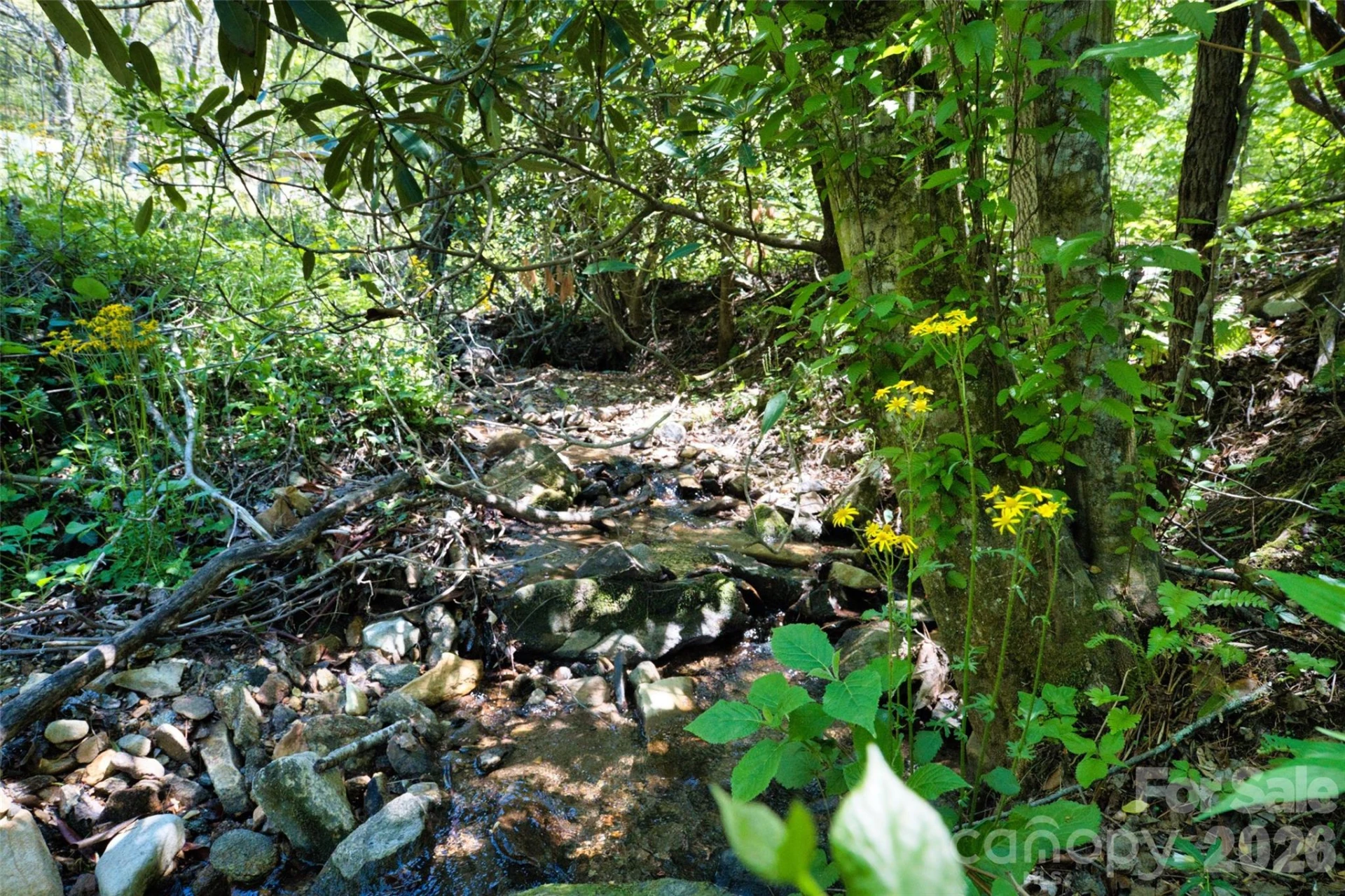 99999 Anderson Cove Road - Photo 17