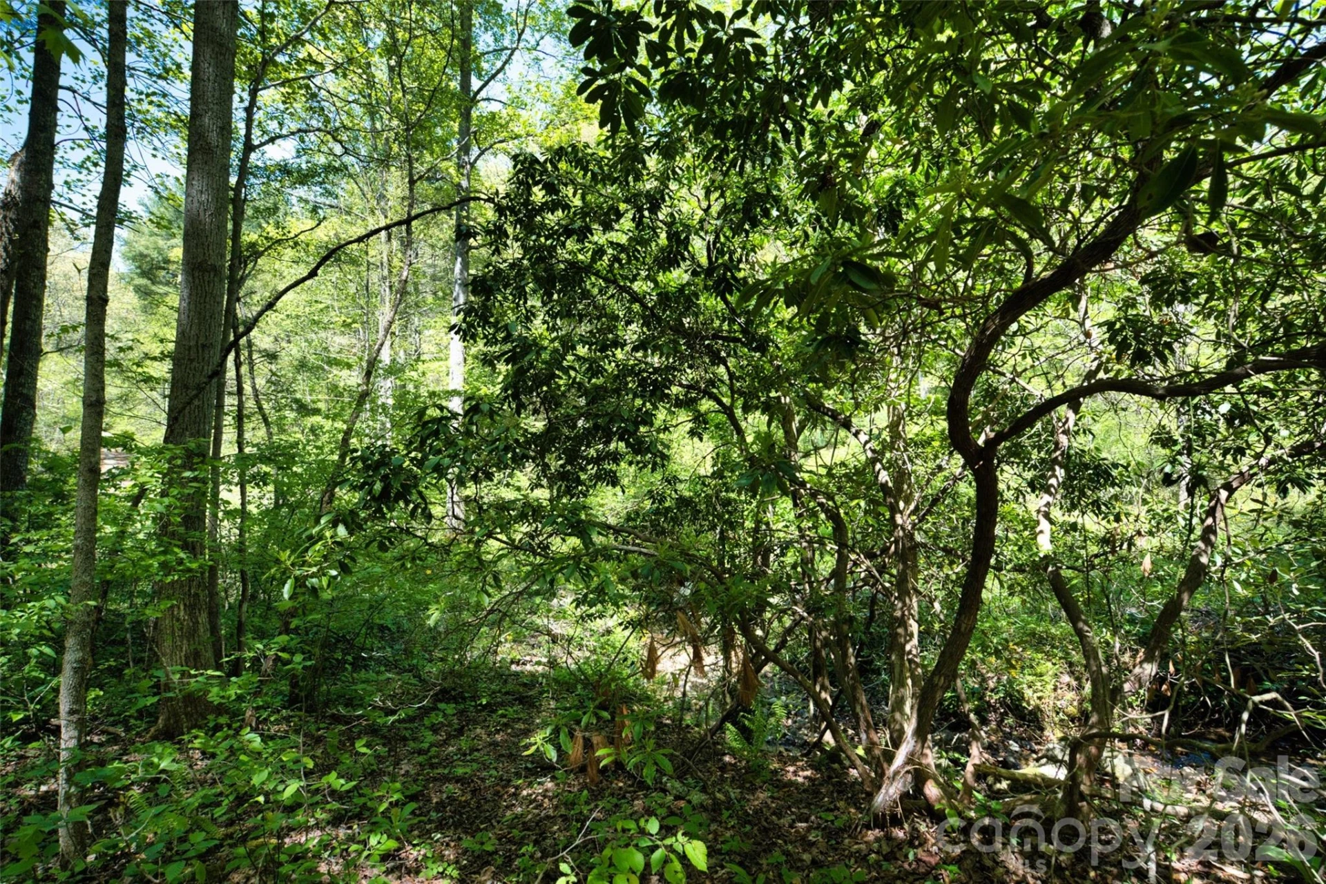 99999 Anderson Cove Road - Photo 18