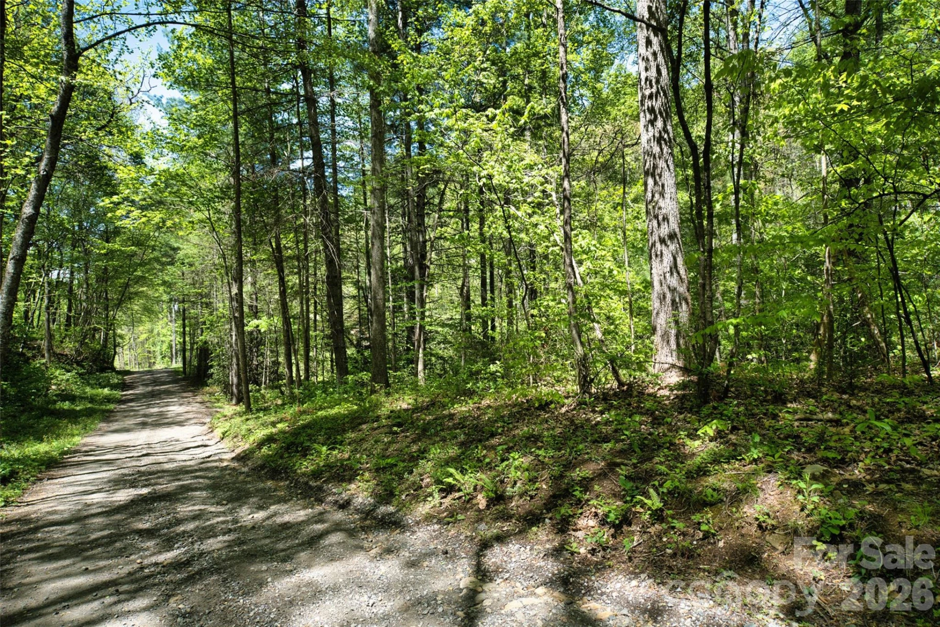 99999 Anderson Cove Road - Photo 19