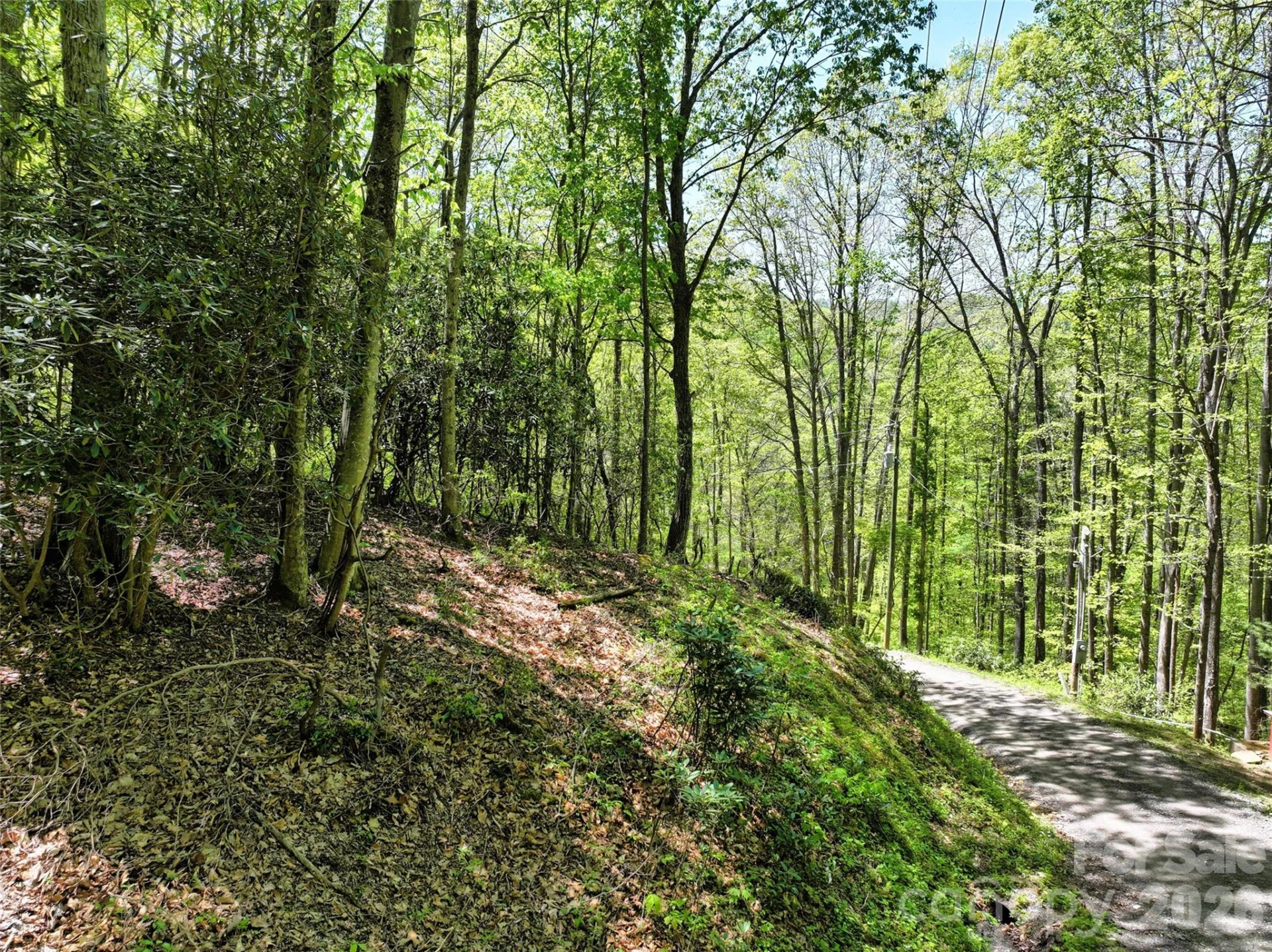 99999 Anderson Cove Road - Photo 22