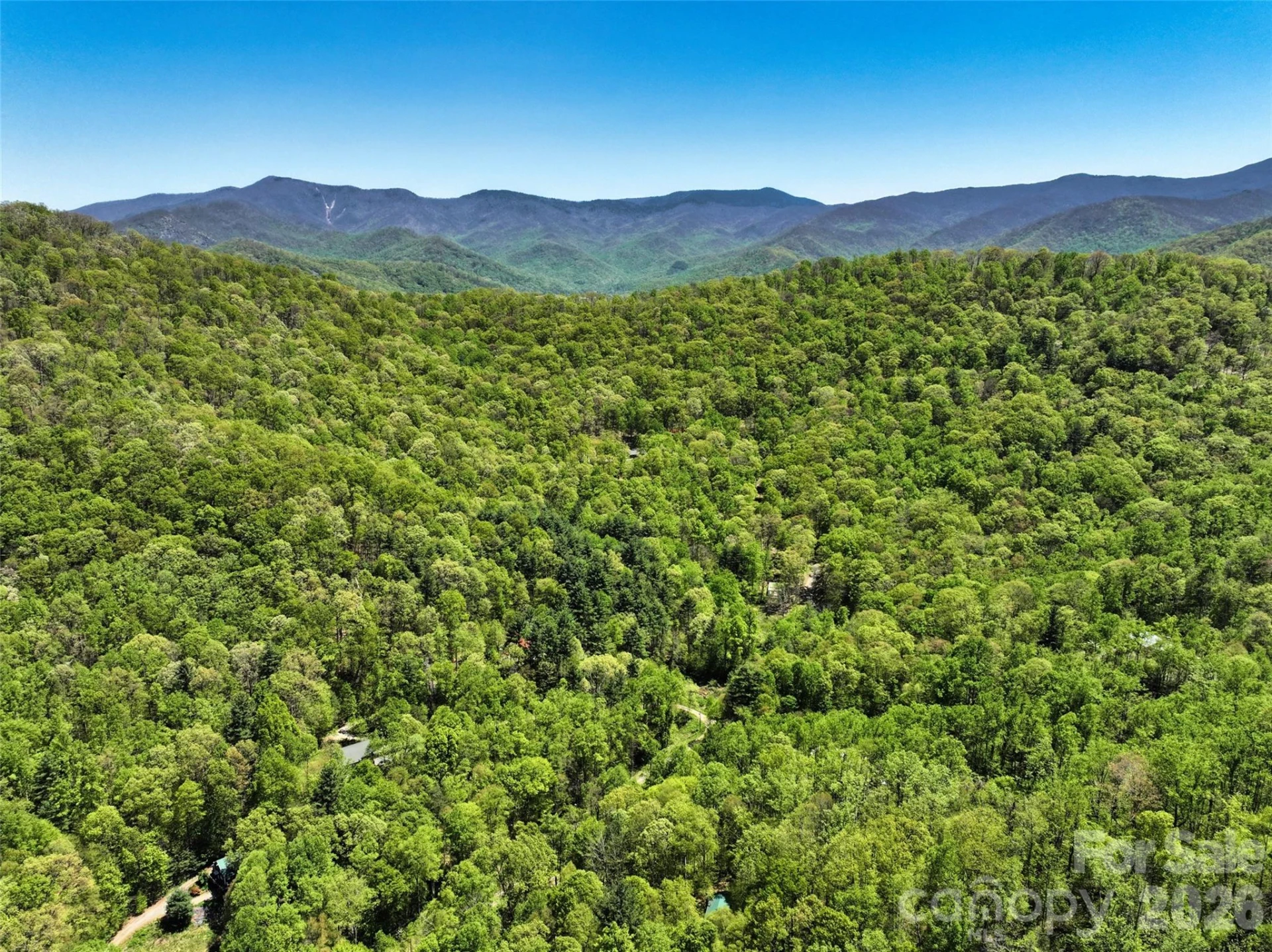 99999 Anderson Cove Road - Photo 25