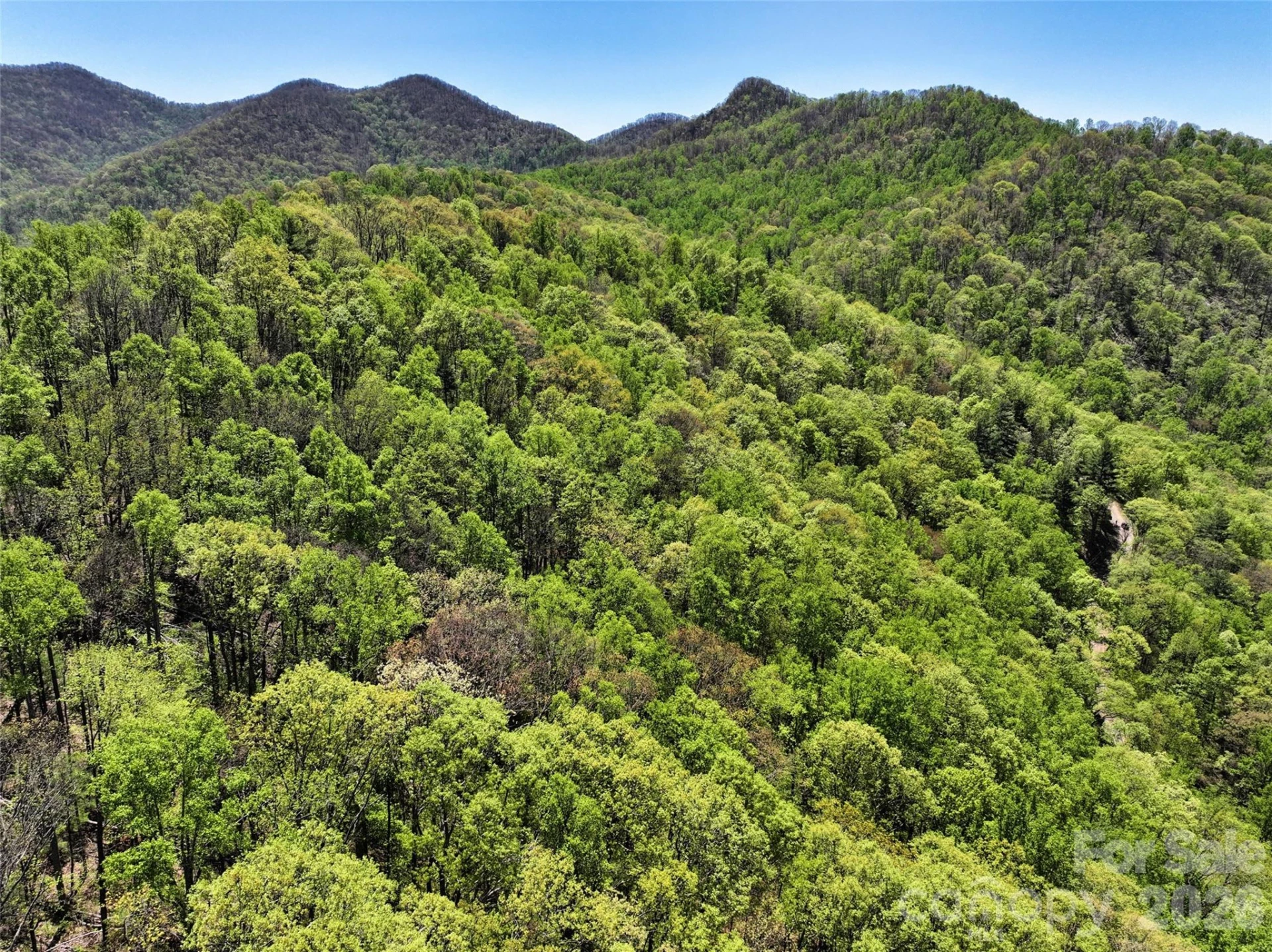 99999 Anderson Cove Road - Photo 28