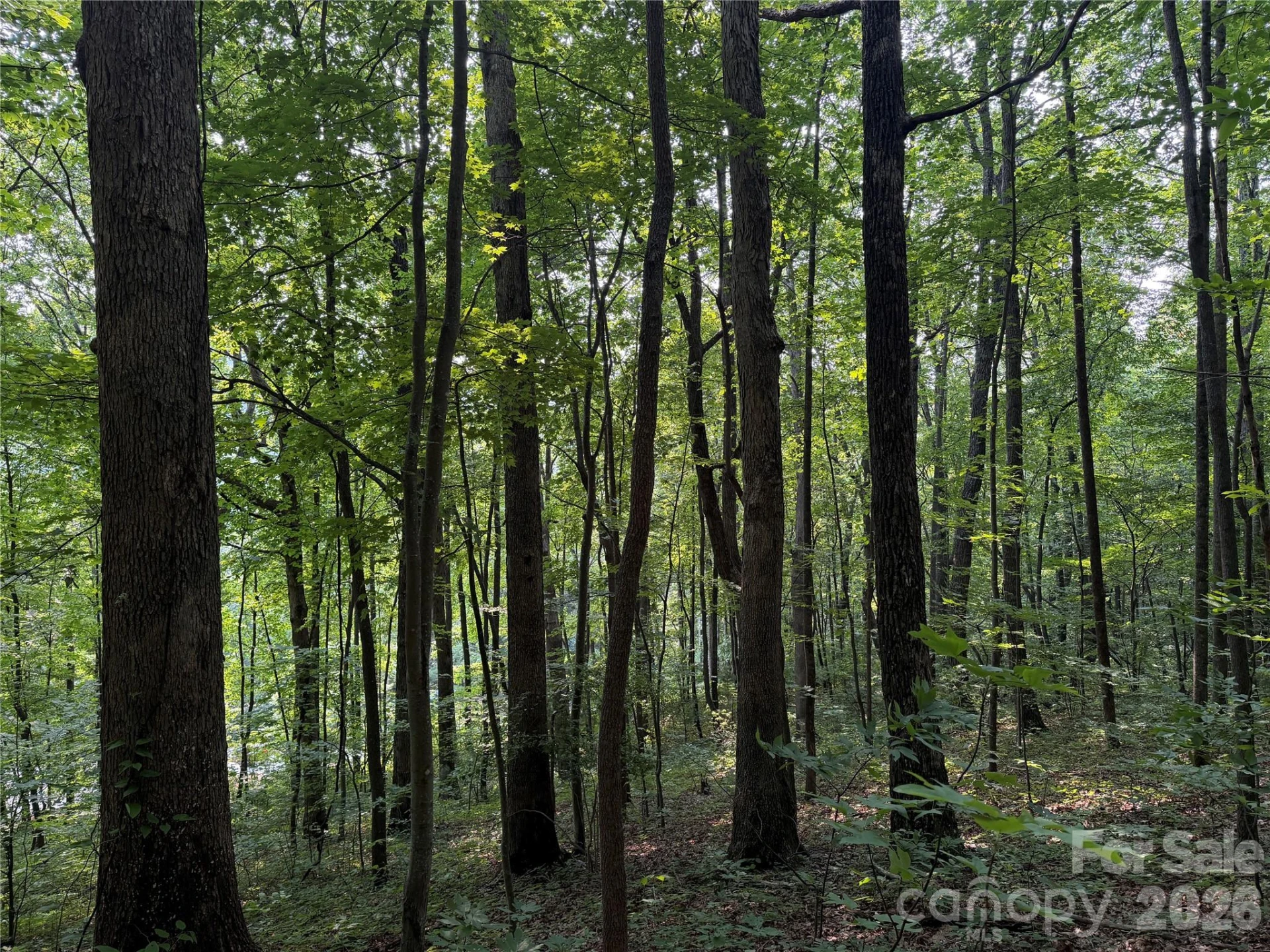 99999 Anderson Cove Road - Photo 29