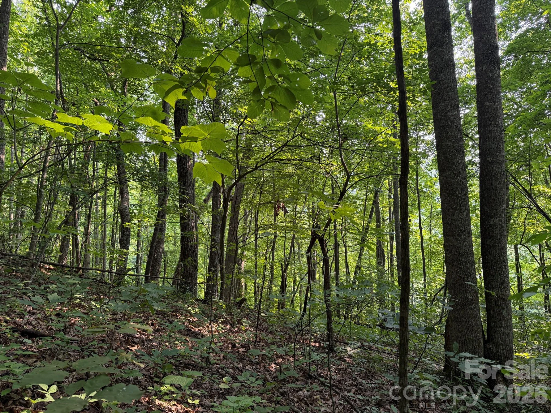 99999 Anderson Cove Road - Photo 32