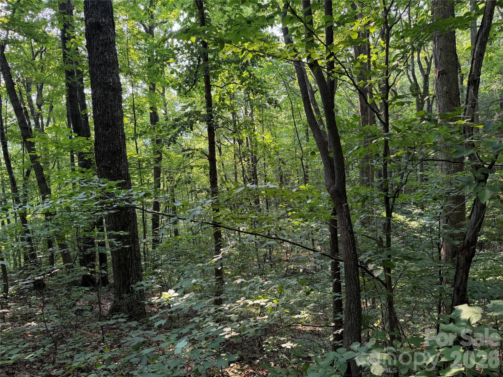 99999 Anderson Cove Road - Photo 33