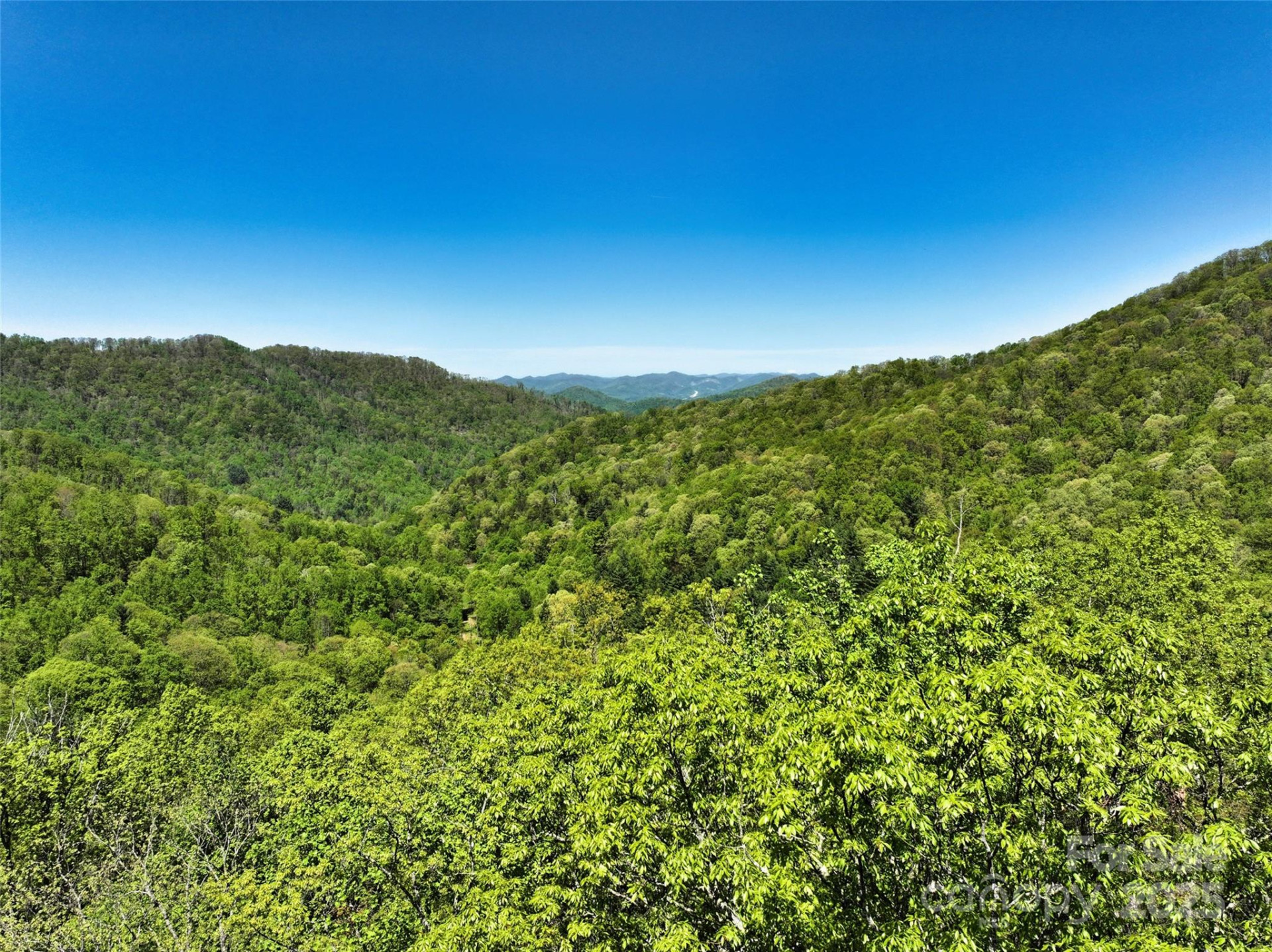 99999 Anderson Cove Road - Photo 6