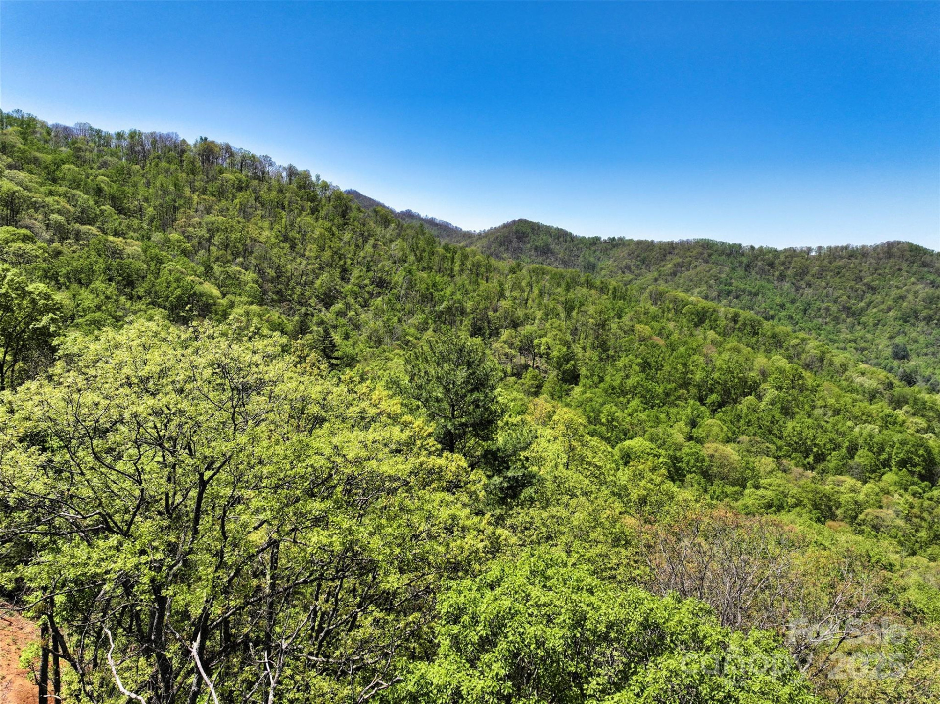 99999 Anderson Cove Road - Photo 7