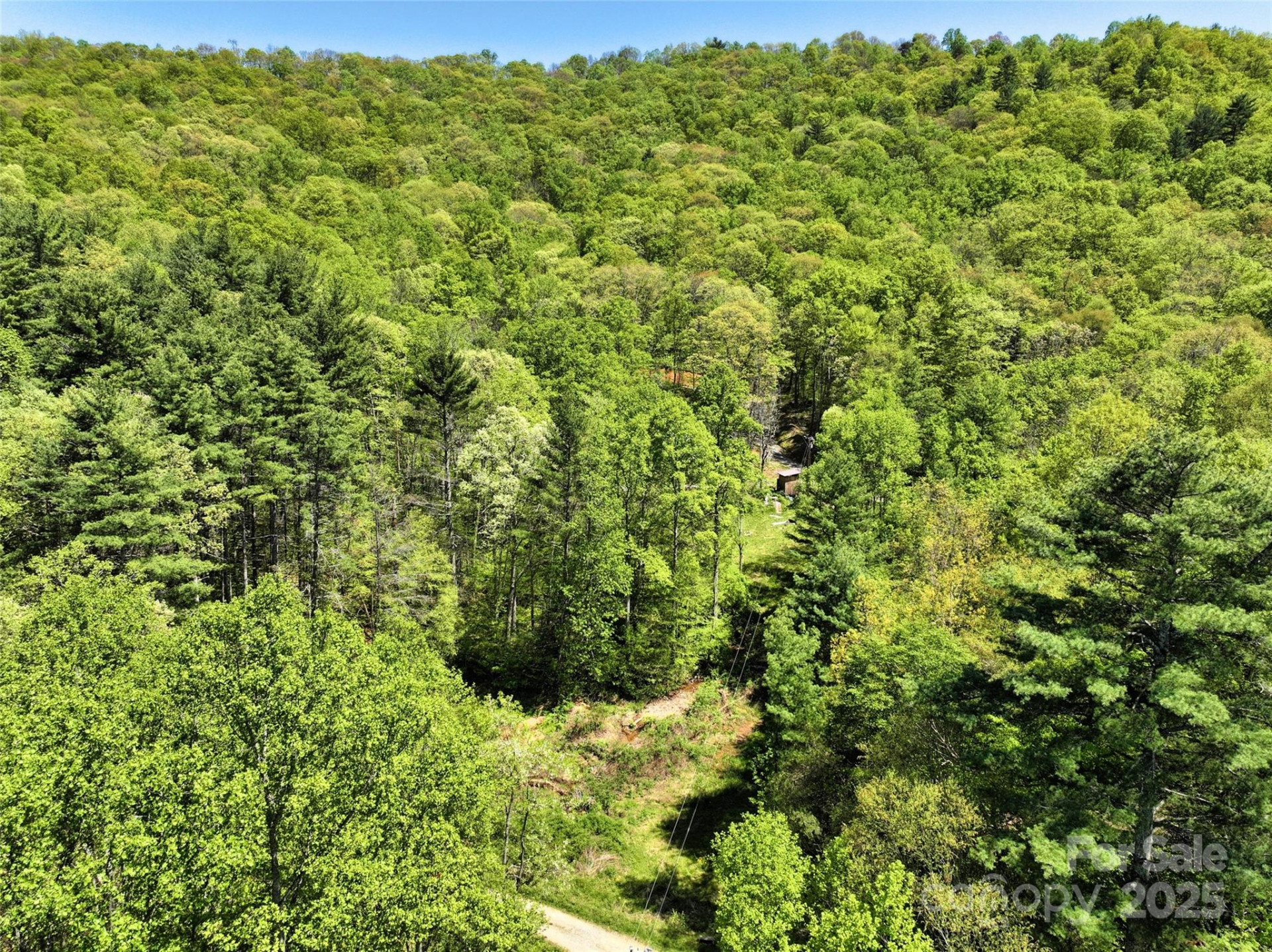 99999 Anderson Cove Road - Photo 9