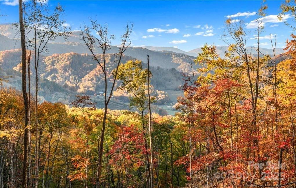 99999 Hookers Gap Road - Photo 12