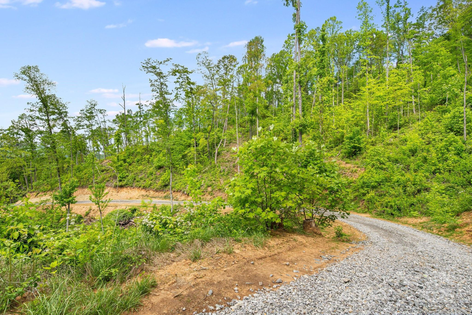 99999 Hookers Gap Road - Photo 6