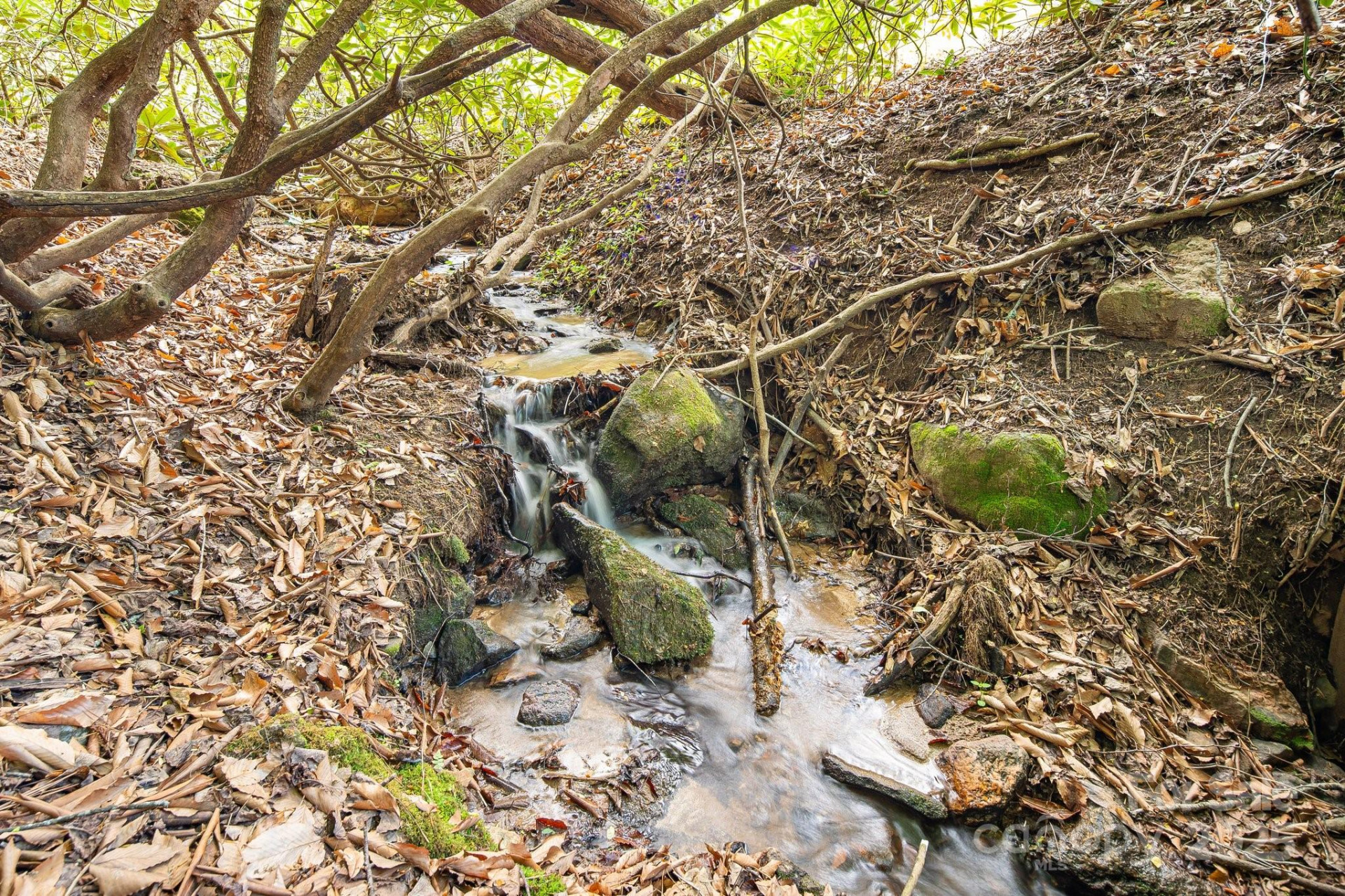 99999 Hookers Gap Road - Photo 7