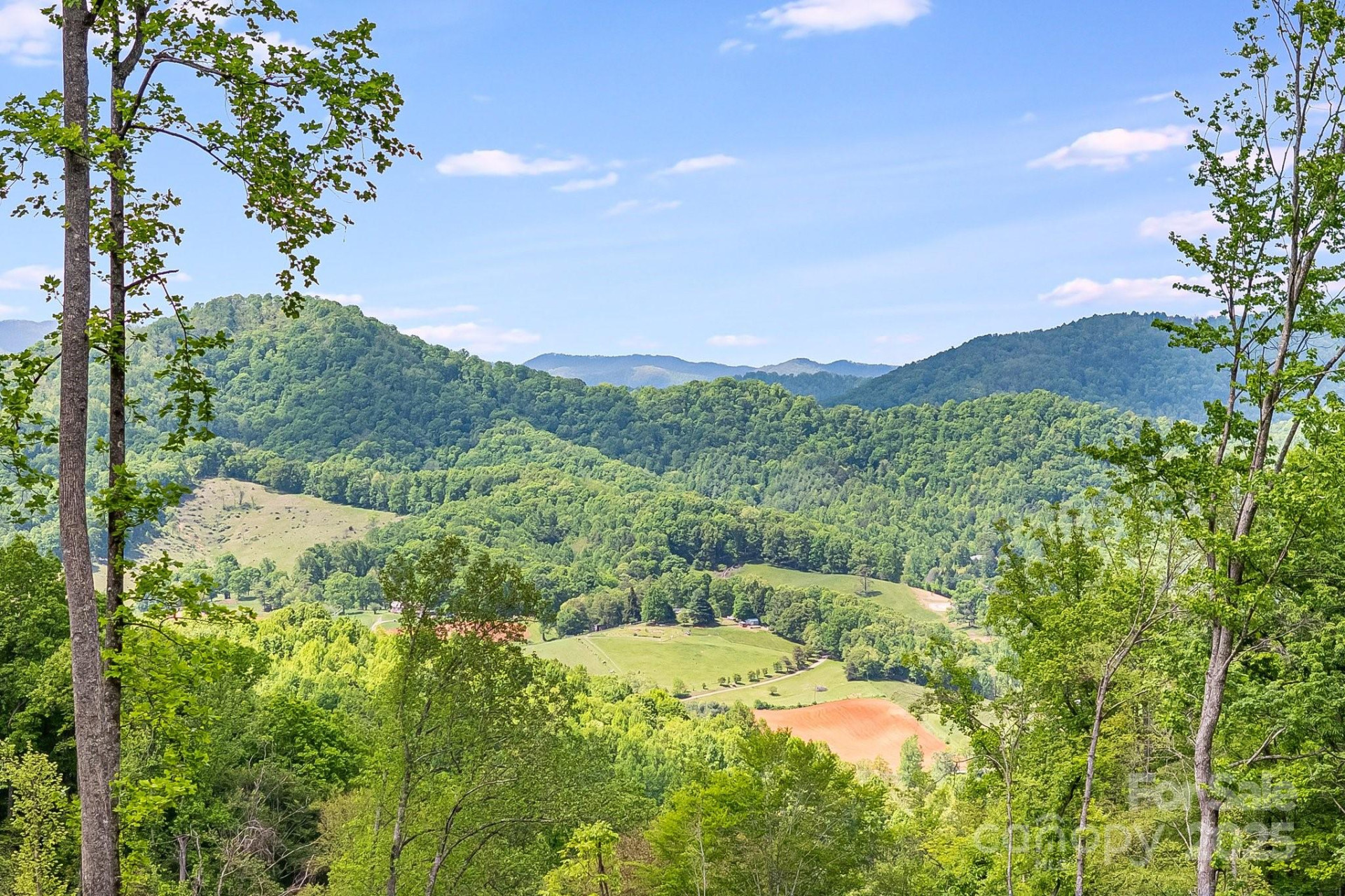 99999 Hookers Gap Road - Photo 8