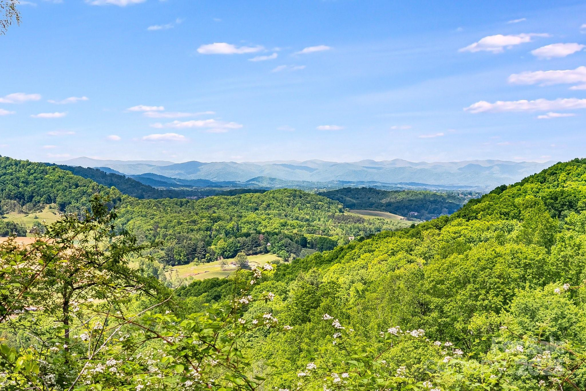 99999 Hookers Gap Road - Photo 9