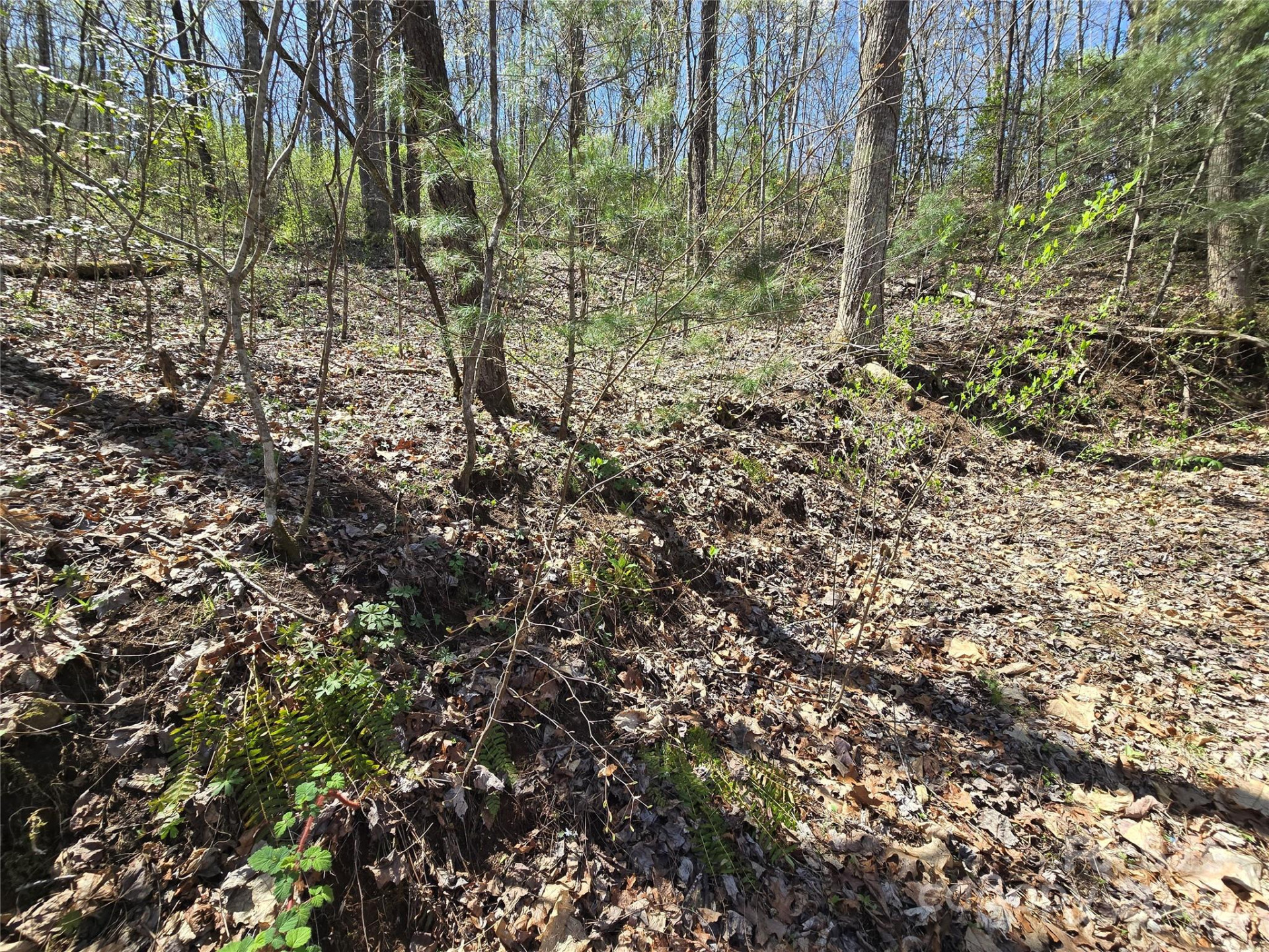 00 Riverside Drive #33/34 - Photo 13