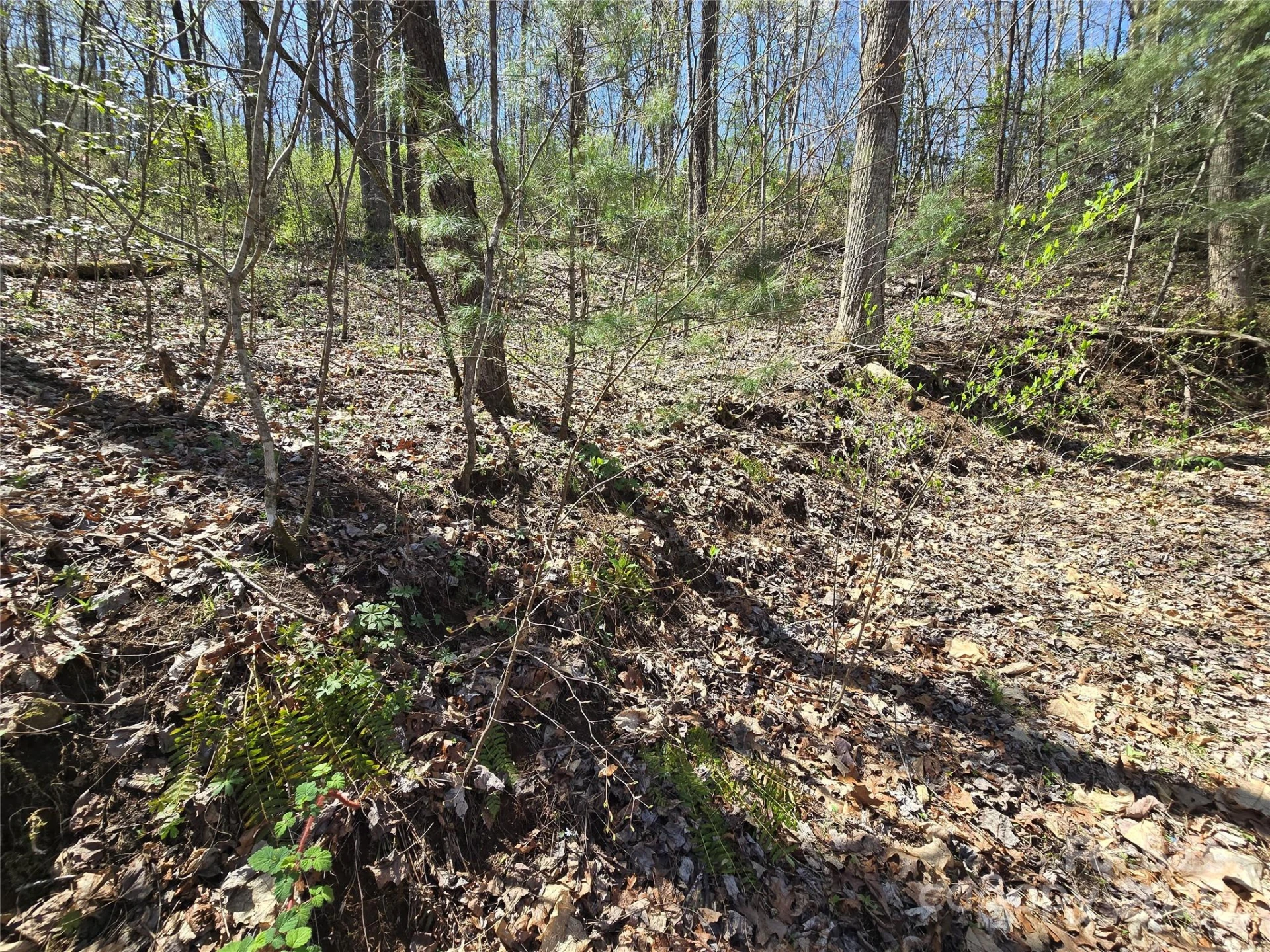 00 Riverside Drive #33/34 - Photo 13