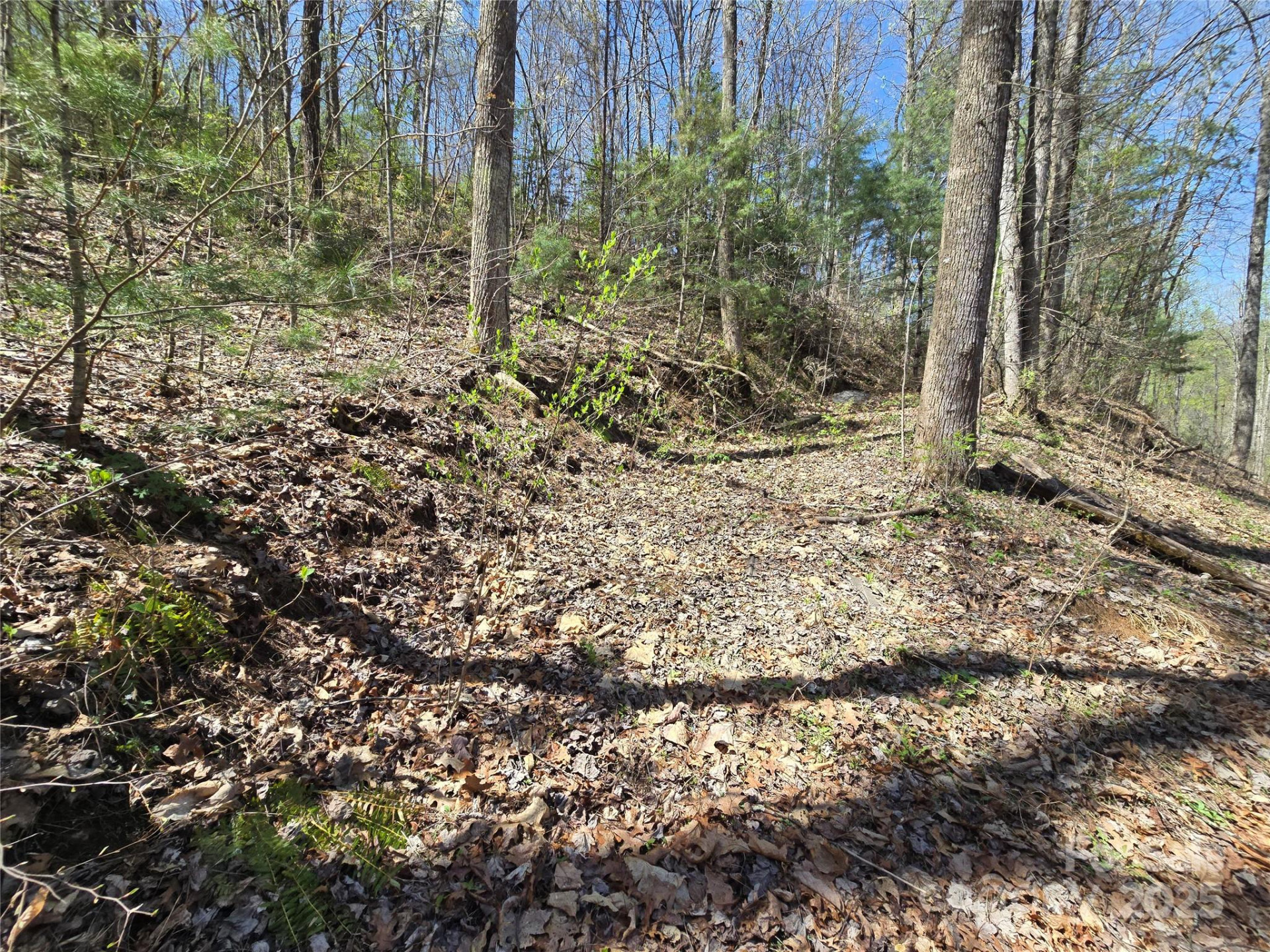 00 Riverside Drive #33/34 - Photo 3