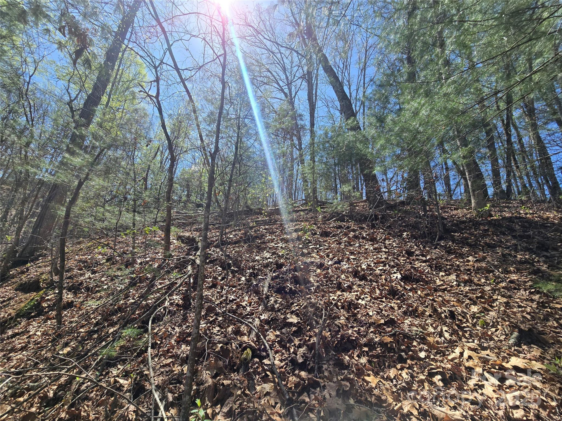 00 Riverside Drive #33/34 - Photo 4