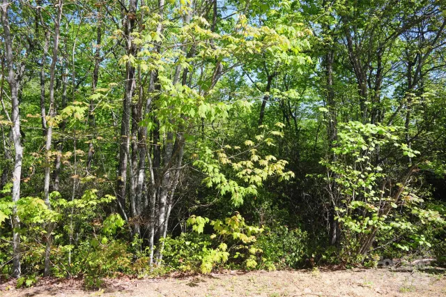 99999 Mountain Falls Trail