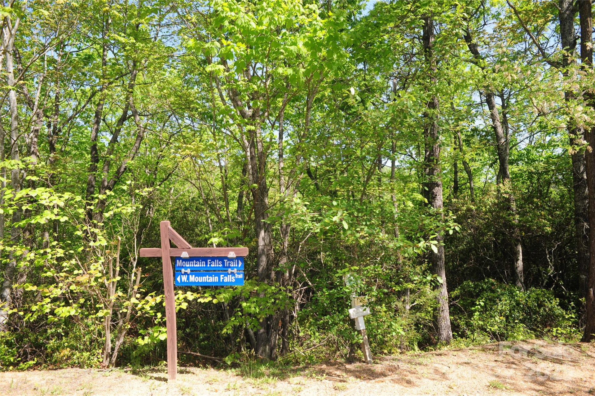 99999 Mountain Falls Trail #71 - Photo 11