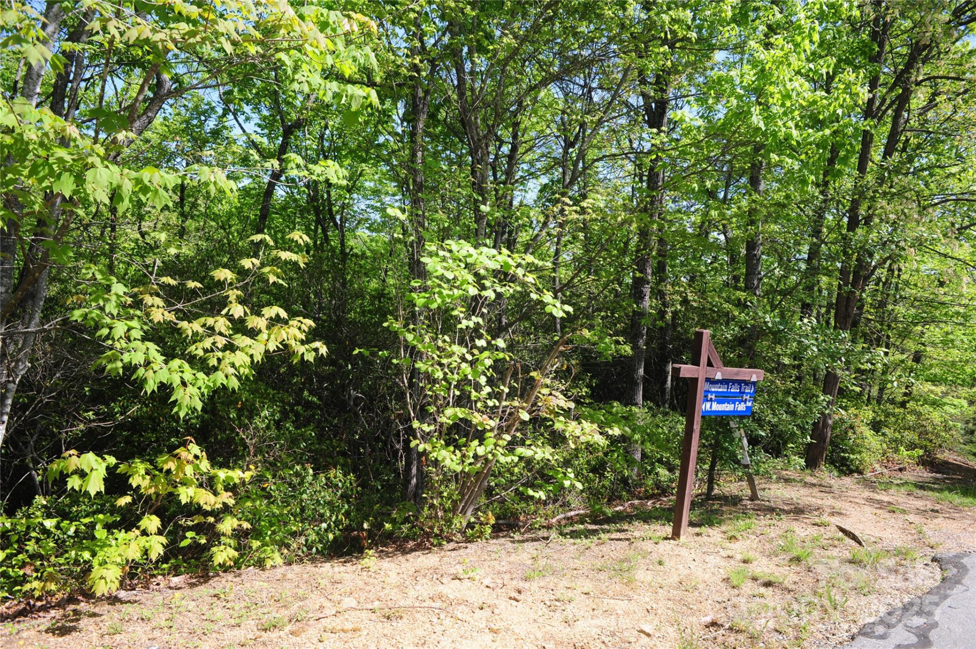 99999 Mountain Falls Trail #71 - Photo 9