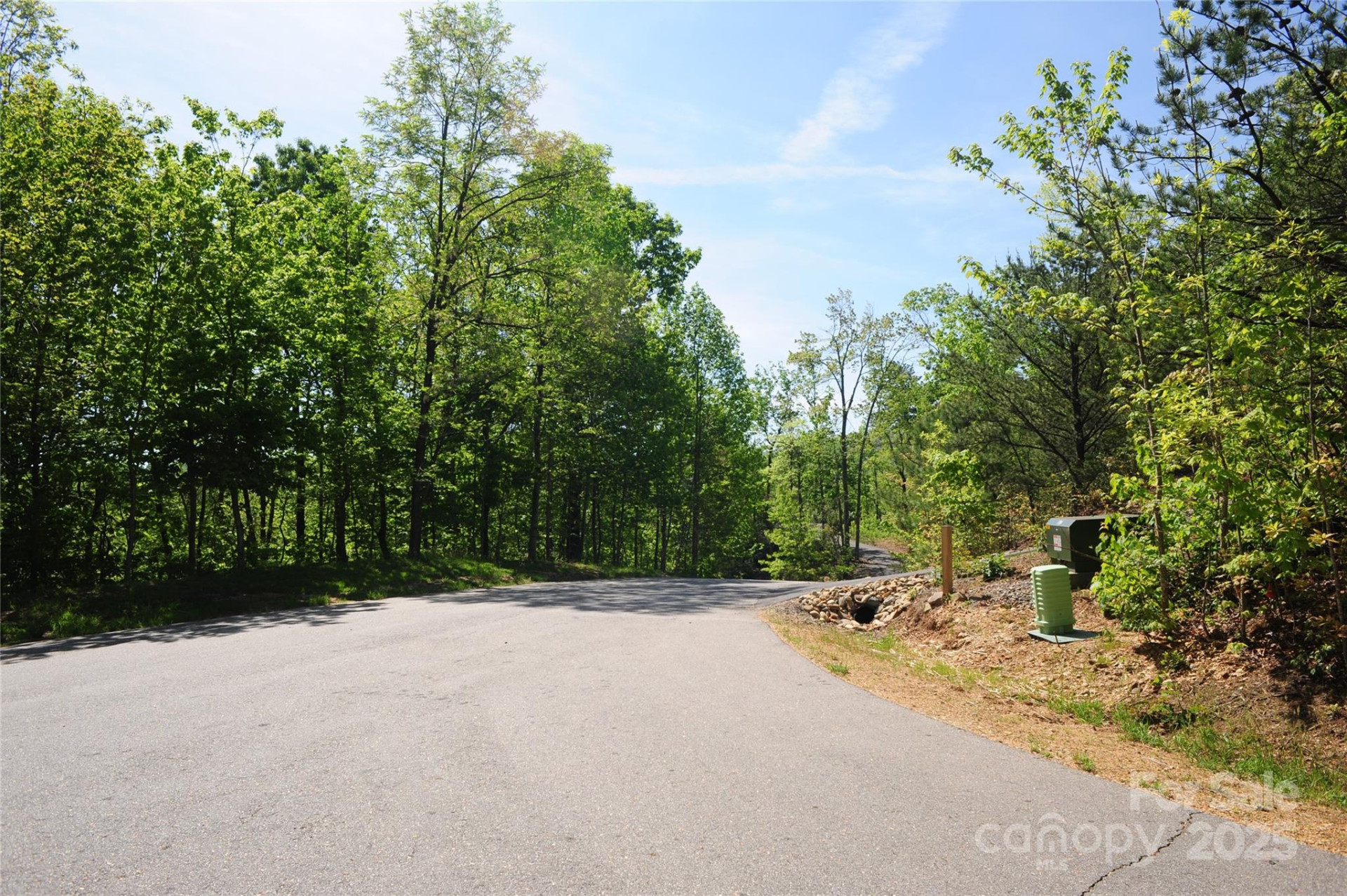 99999 Mountain Falls Trail #71 - Photo 10