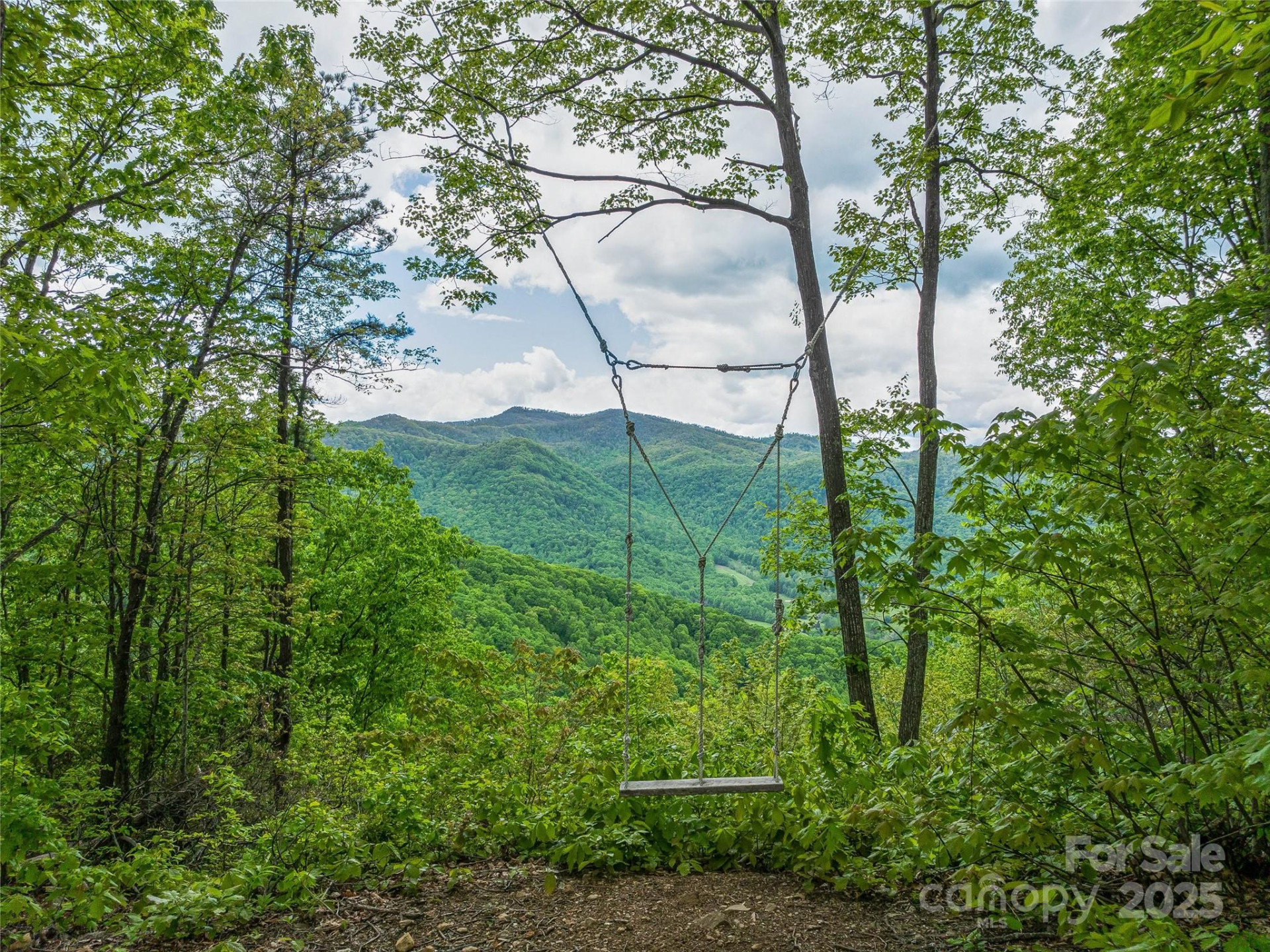 59 Pisgah Mountain Trail - Photo 2