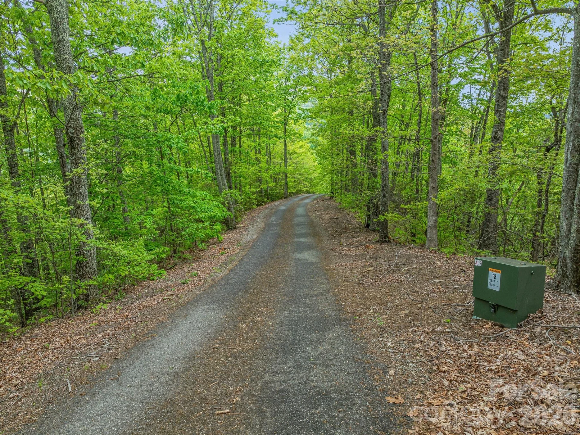 59 Pisgah Mountain Trail - Photo 3